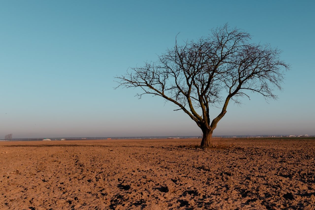 65% DE PARTICIPANTES DE ESTUDIOS CREE QUE EL CAMBIO CLIMÁTICO AFECTA A OTROS MÁS QUE A SÍ MISMOS / AyT