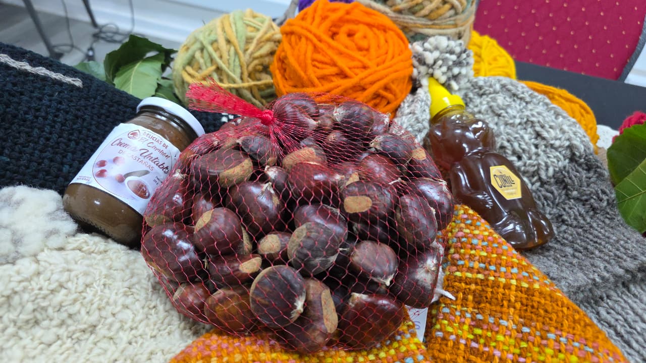 Lanzan la Fiesta de la Castaña de El Carmen 2026