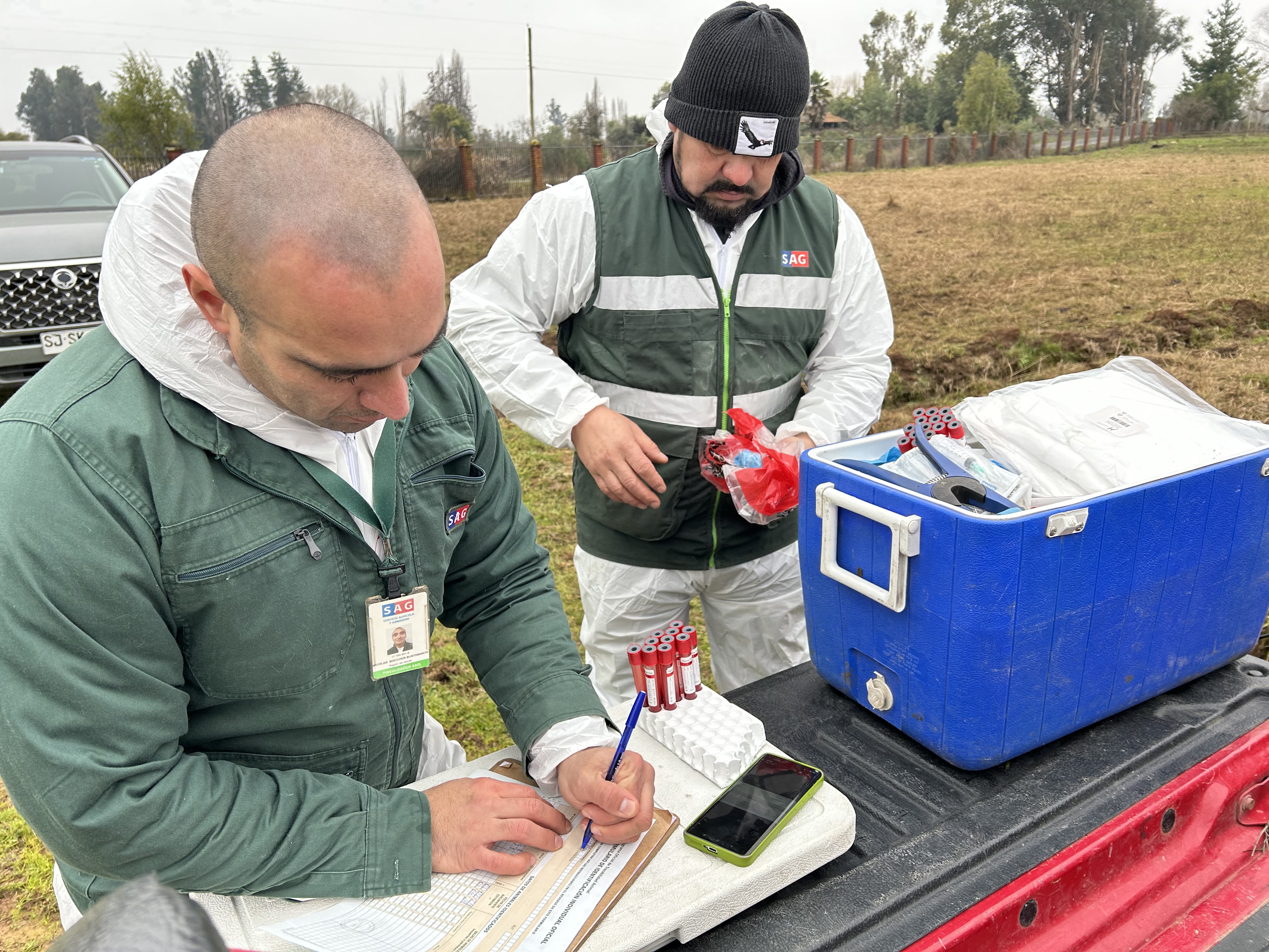 COMUNICADO PRENSA_SAG destaca trabajo realizado en Brucelosis Bovina al ser provisionalmente libres de la enfermedad