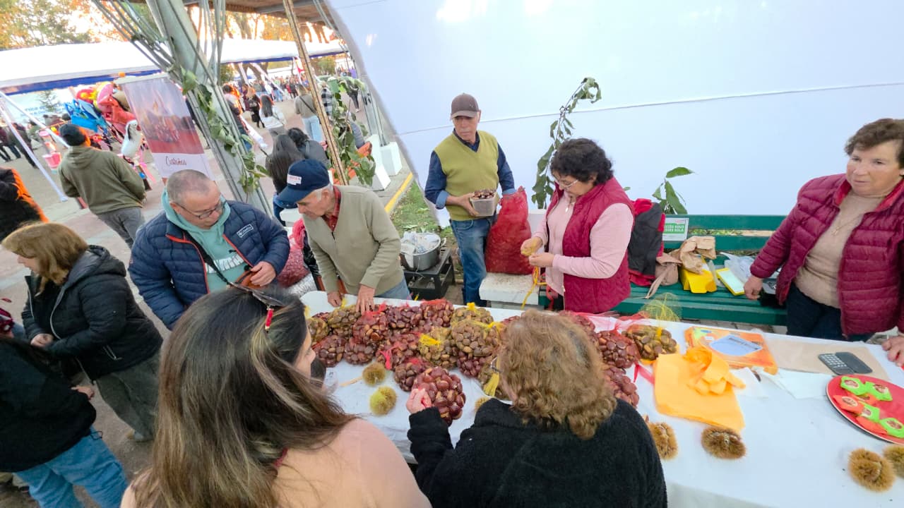 Más de 15 mil personas disfrutaron de la Fiesta de la Castaña El Carmen 2026