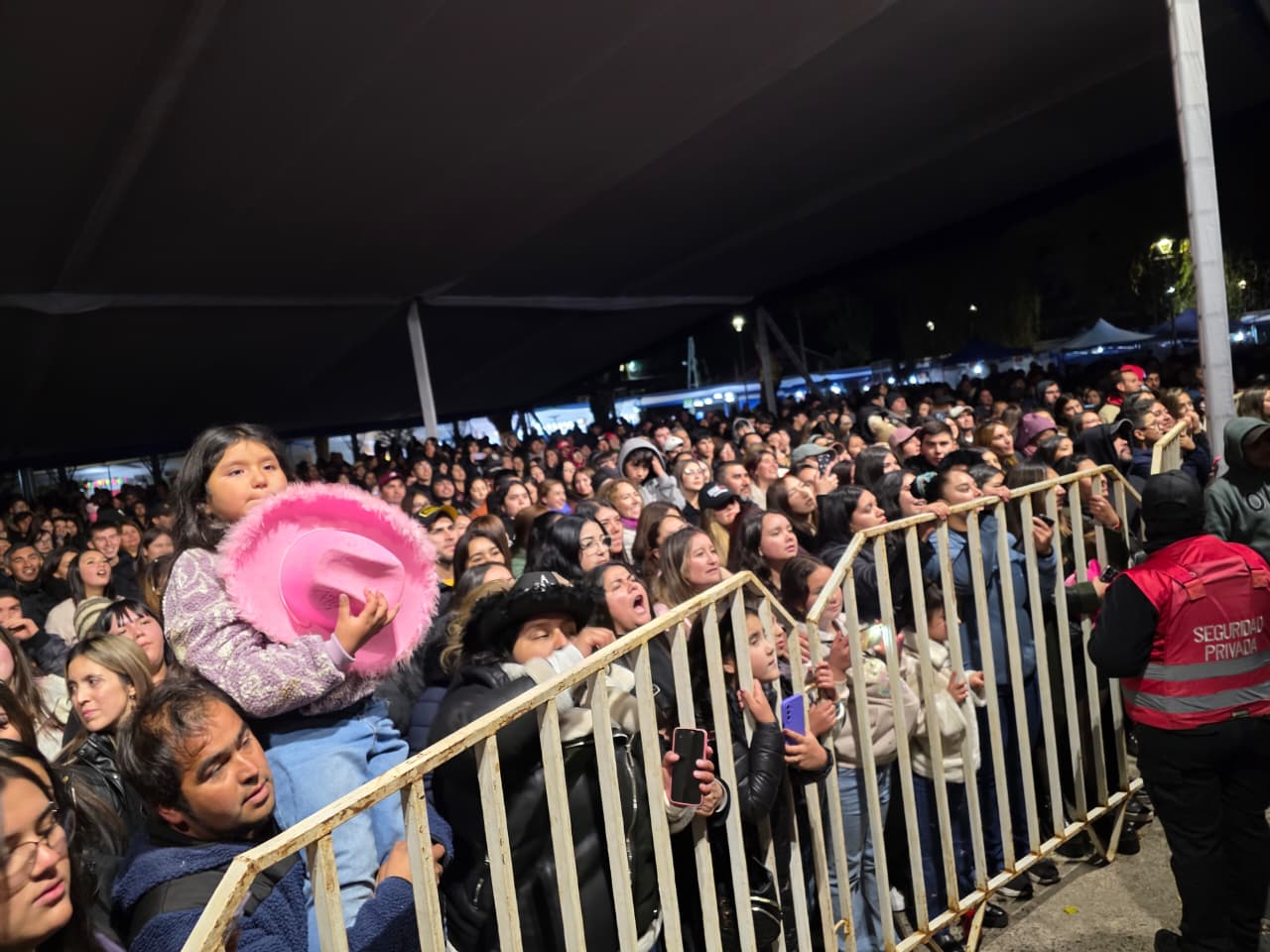 Más de 15 mil personas disfrutaron de la Fiesta de la Castaña El Carmen 2026