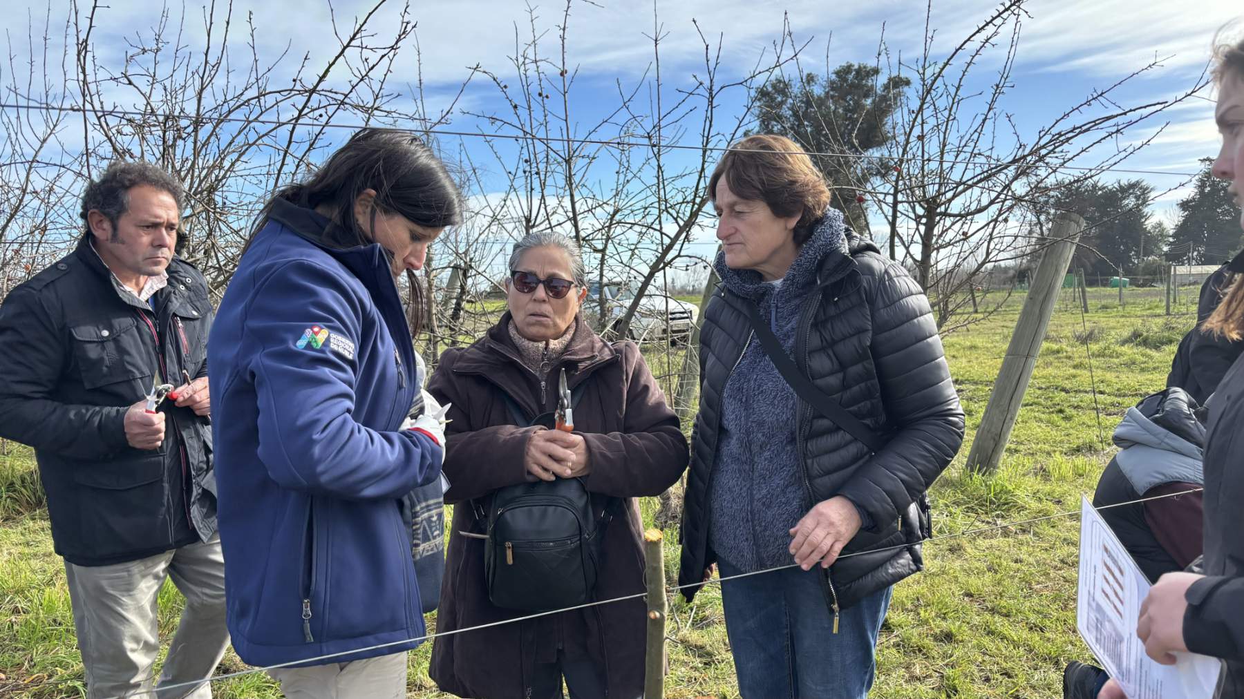 INIA Quilamapu capacitó a 150 agricultores de Ñuble en técnicas de poda e injertación de frutales