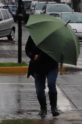 Sistema frontal afecta a 973 personas en Ñuble: San Carlos y Coelemu registran el mayor impacto y miles sin suministro eléctrico