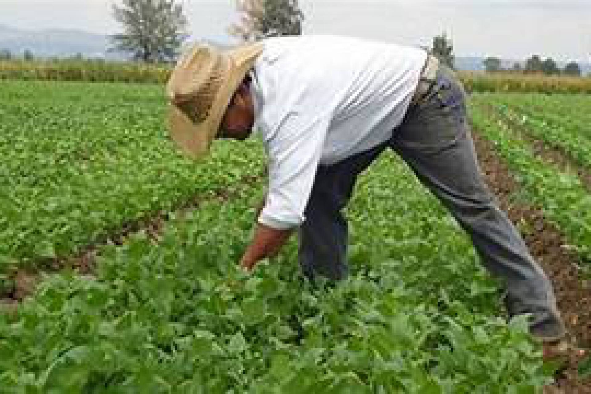 Subsecretaria de agricultura informó de las ayudas que el gobierno entregará a afectados por las lluvias en la región