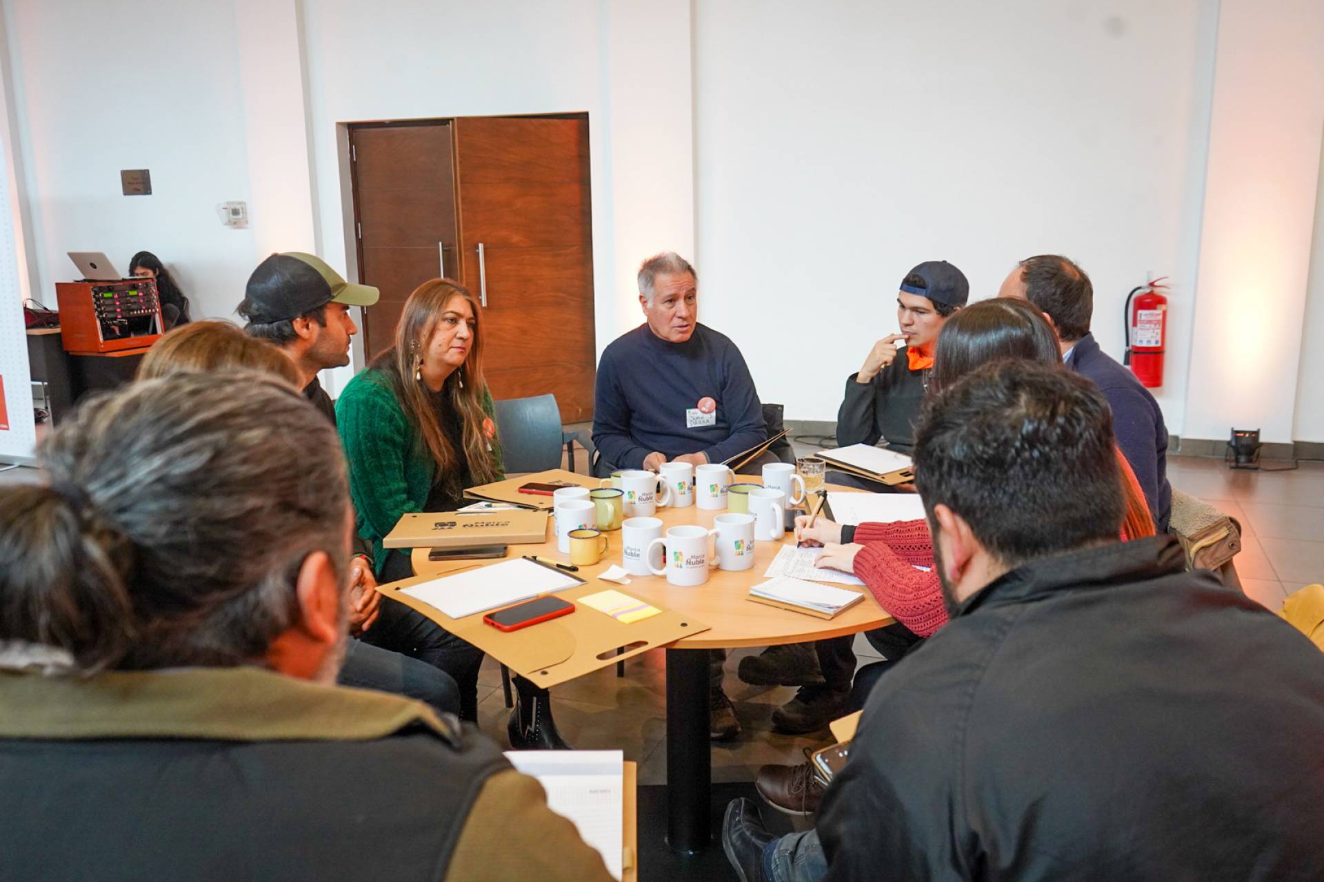 Proceso de construcción de la Marca Ñuble finaliza talleres con grupos de interés