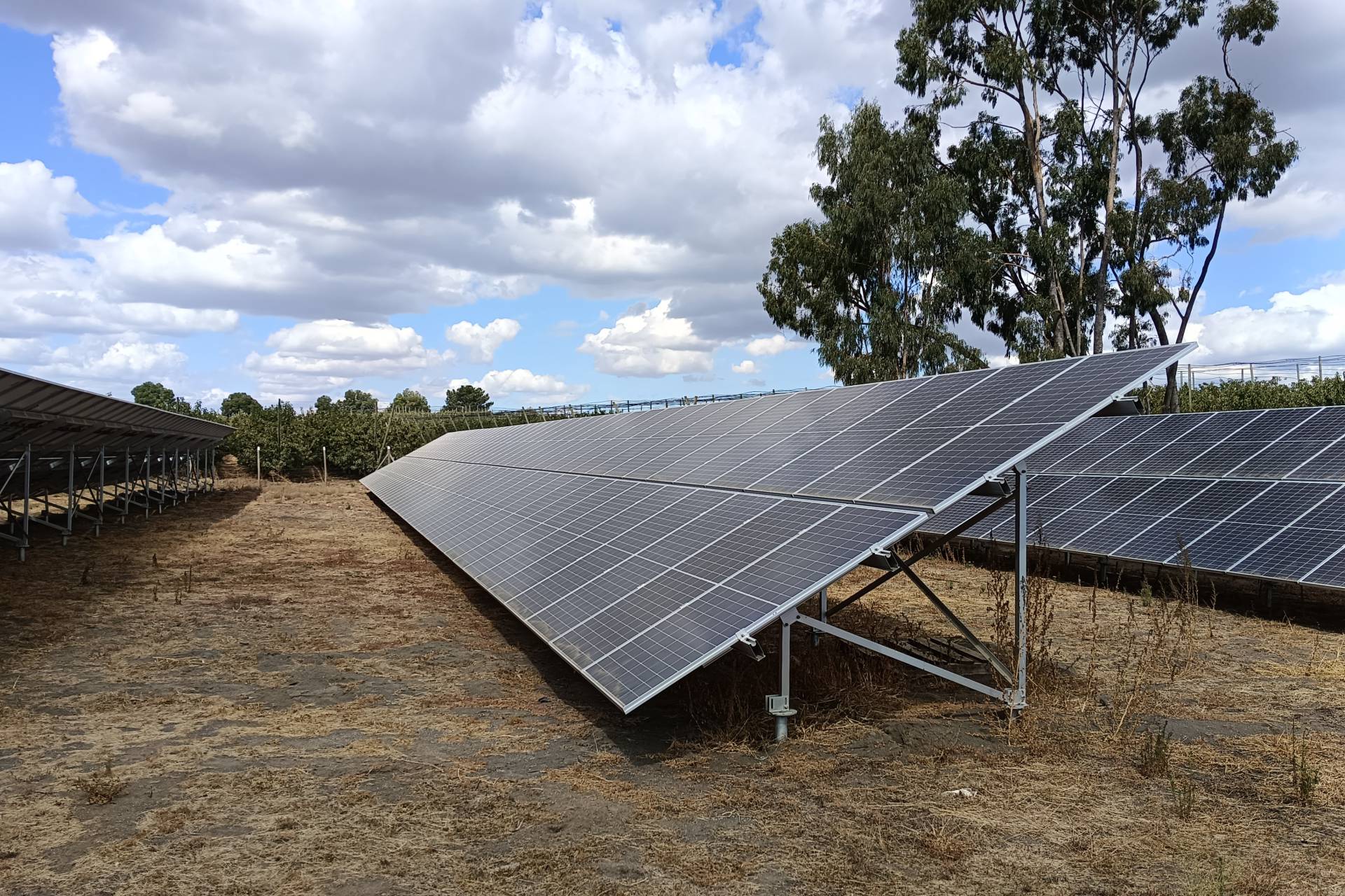 Proyectos en Ñuble reciben cofinanciamiento para potenciar energías renovables en la industria productiva