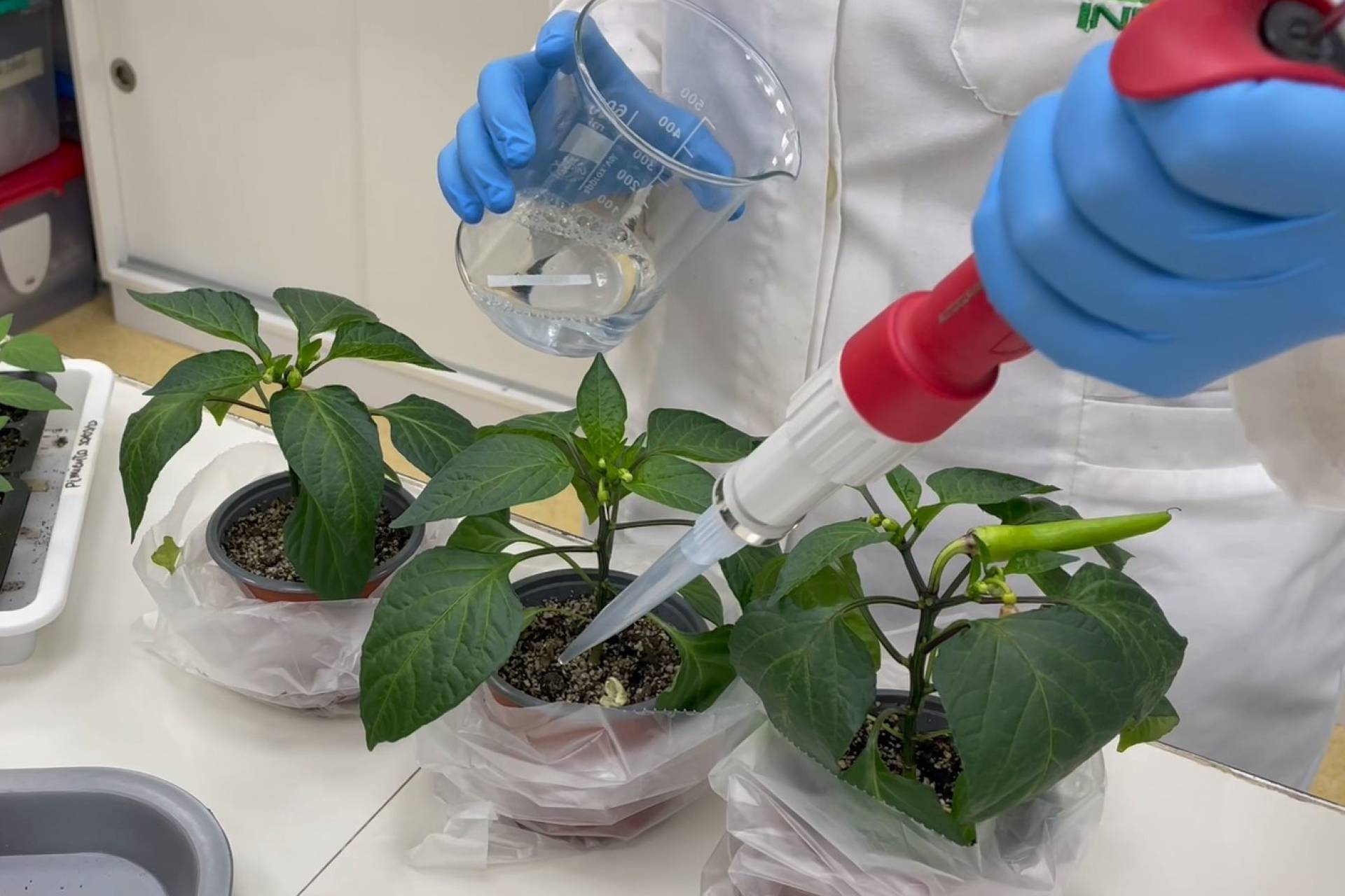 INIA inspira a jóvenes universitarios a revolucionar la agricultura con startups científicas