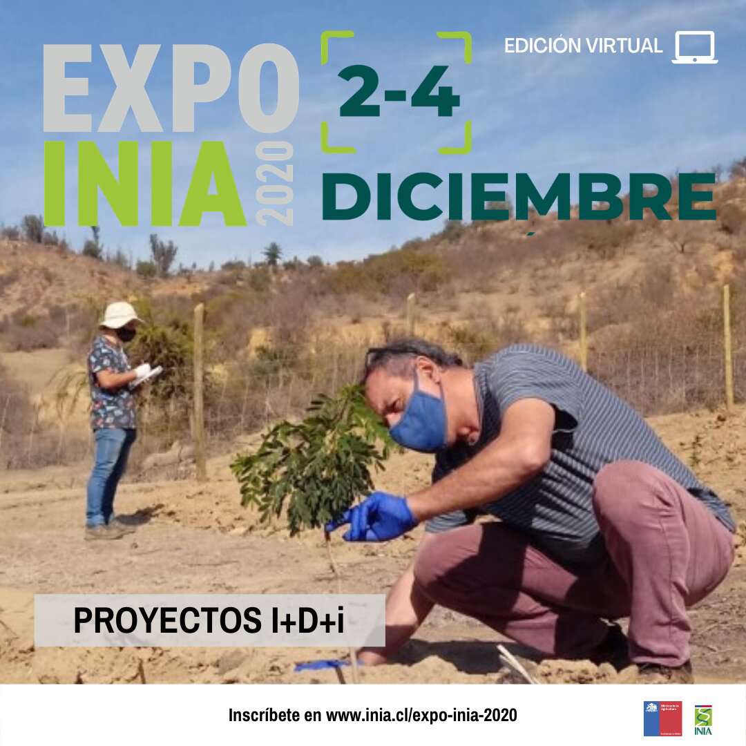 Expo INIA 2020 anticipa su programación de charlas abiertas y mesas técnicas sectoriales
