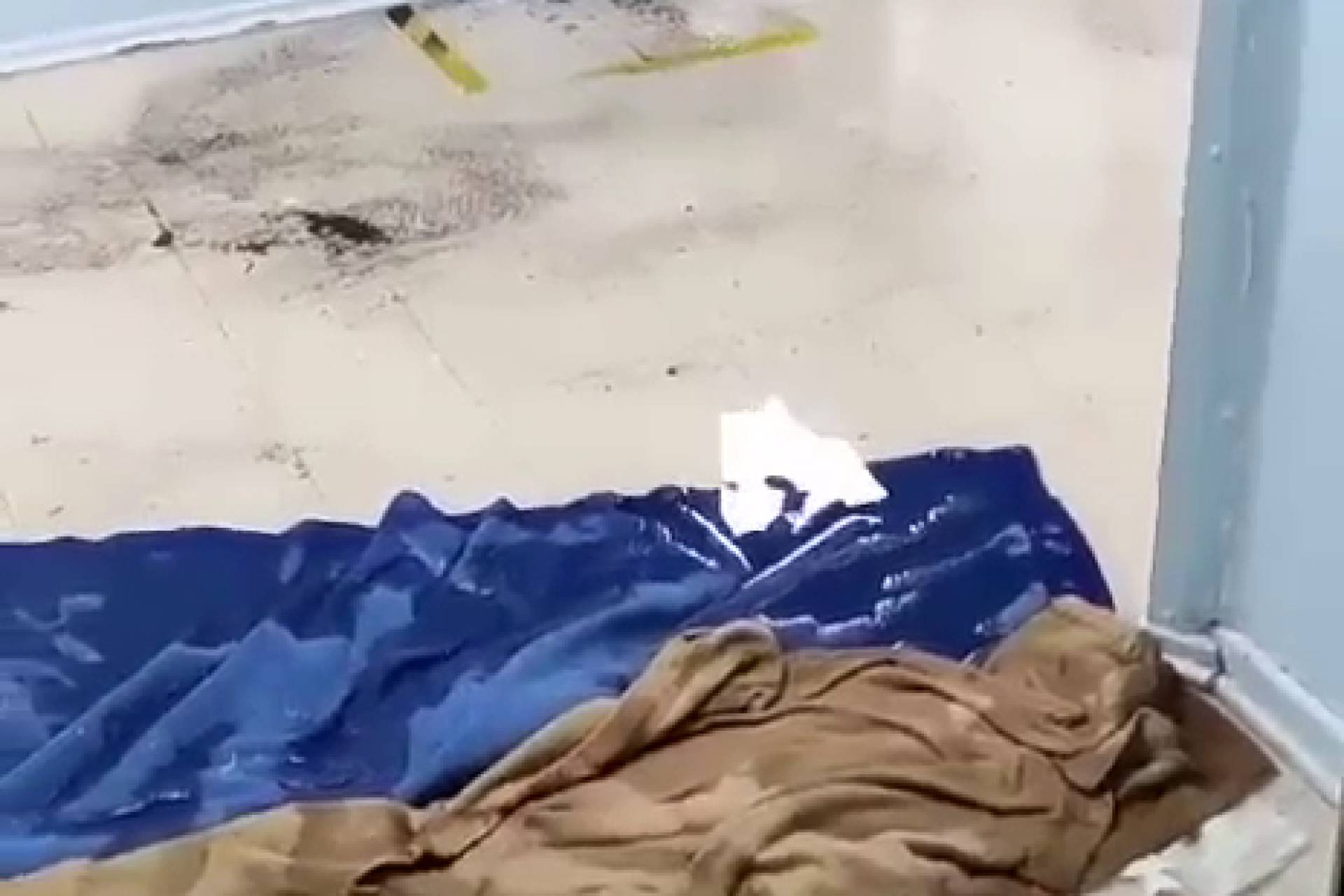 Intensas Lluvias Causan Estragos en Chillán: Inundaciones y Colapso del centro de la ciudad