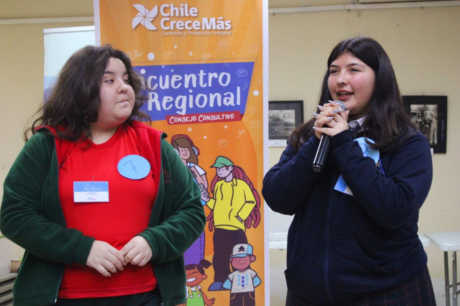 Jóvenes representarán a Ñuble en Consejo Consultivo Nacional de Niños, Niñas y Adolescentes