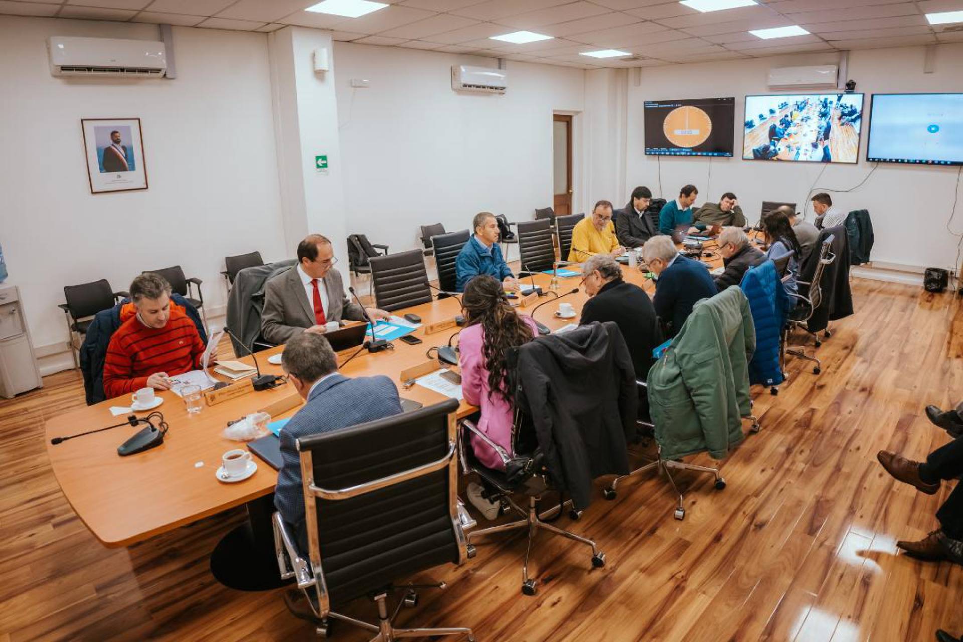 Consejo Regional prioriza proyecto de APR que beneficiará a 233 familias de Coihueco
