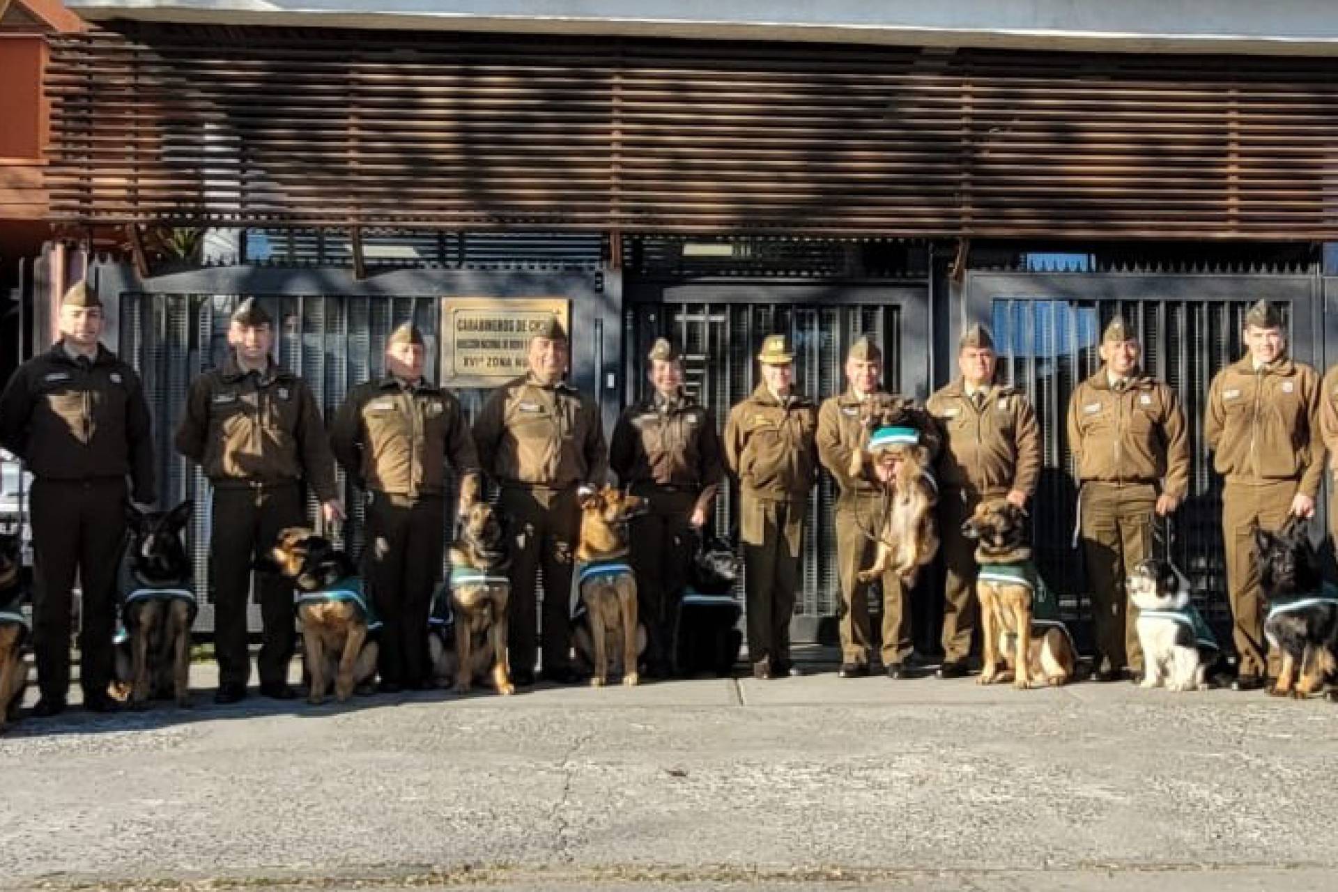 Brigada Canina de Carabineros de Chile continúa gira por Ñuble esta semana