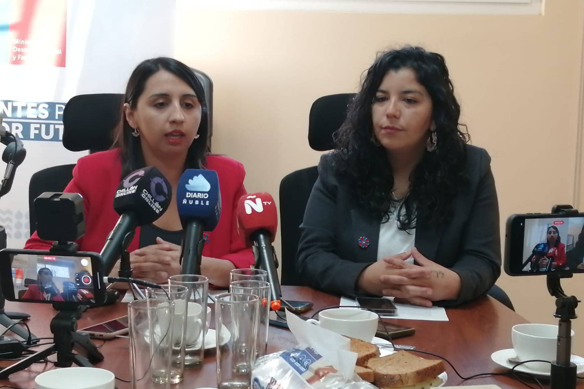 Más de 55 mil prestaciones registra el Plan Protege Calle en Ñuble entre ls meses de mayo y septiembre de este año
