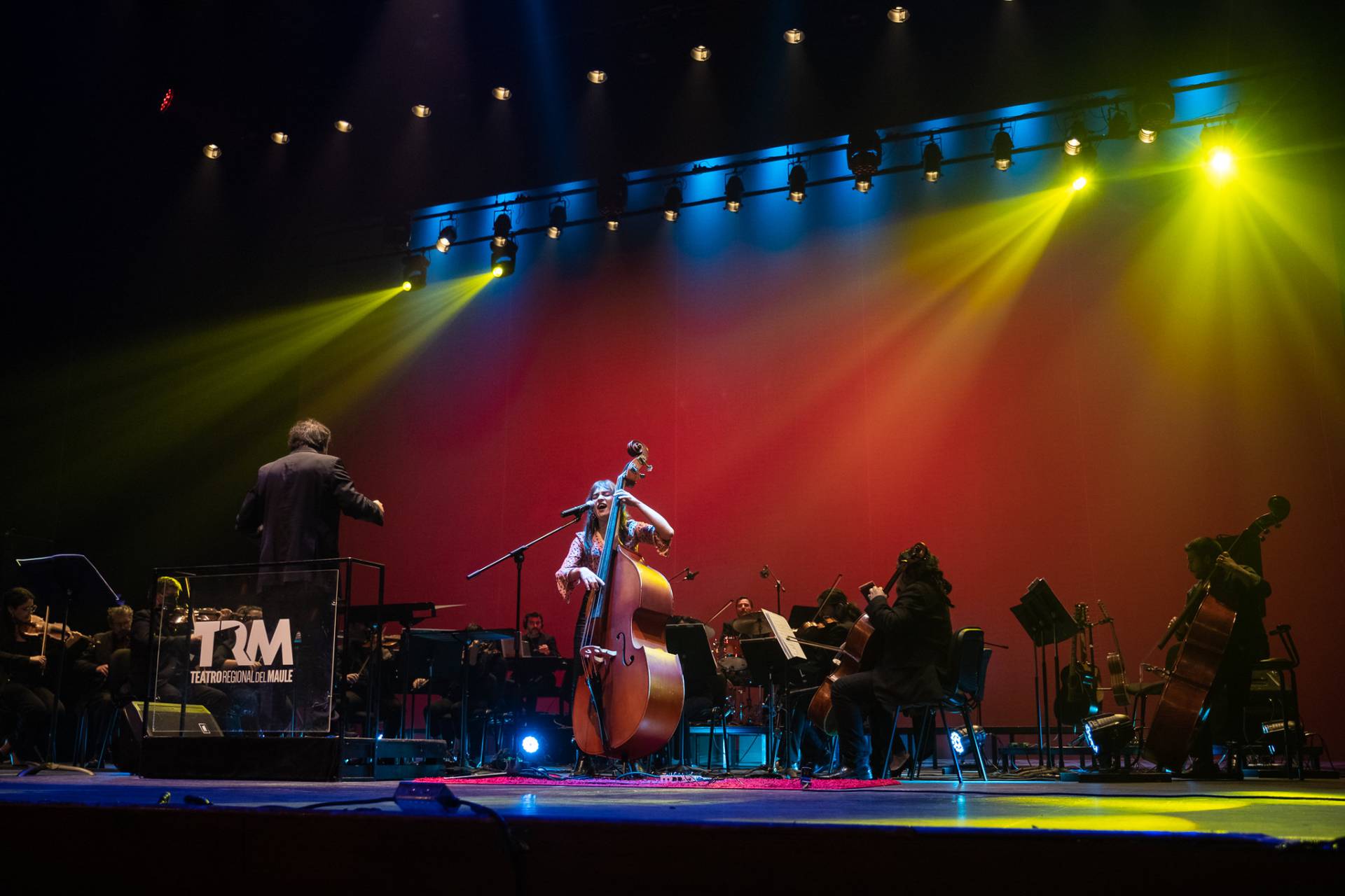 INTÉRPRETES MAULINOS CELEBRARÁN EL DÍA DE LA MÚSICA Y MÚSICOS CHILENOS