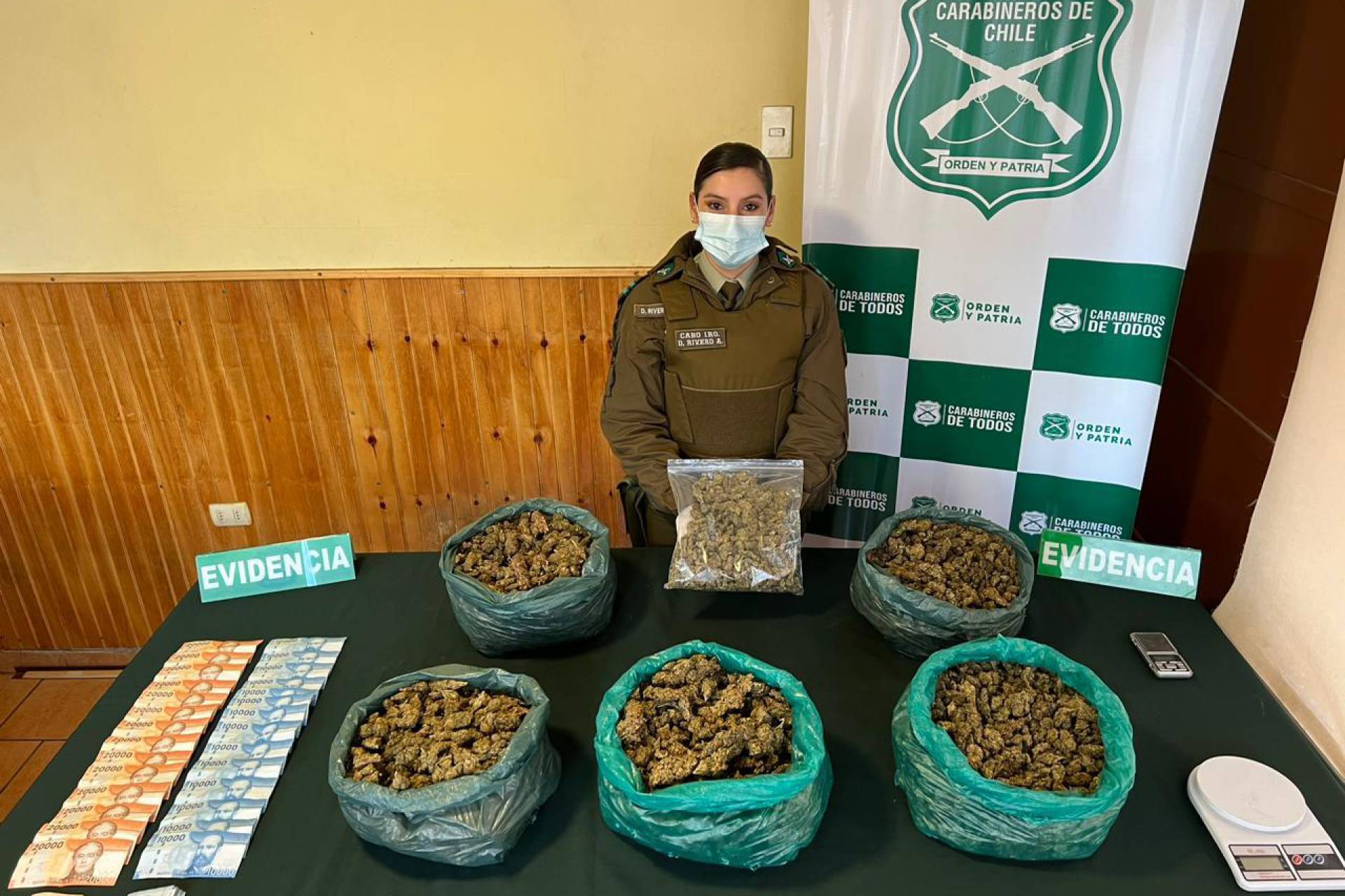 Carabineros del OS7 Ñuble detuvo en San Carlos a organización criminal dedicada al tráfico de marihuana