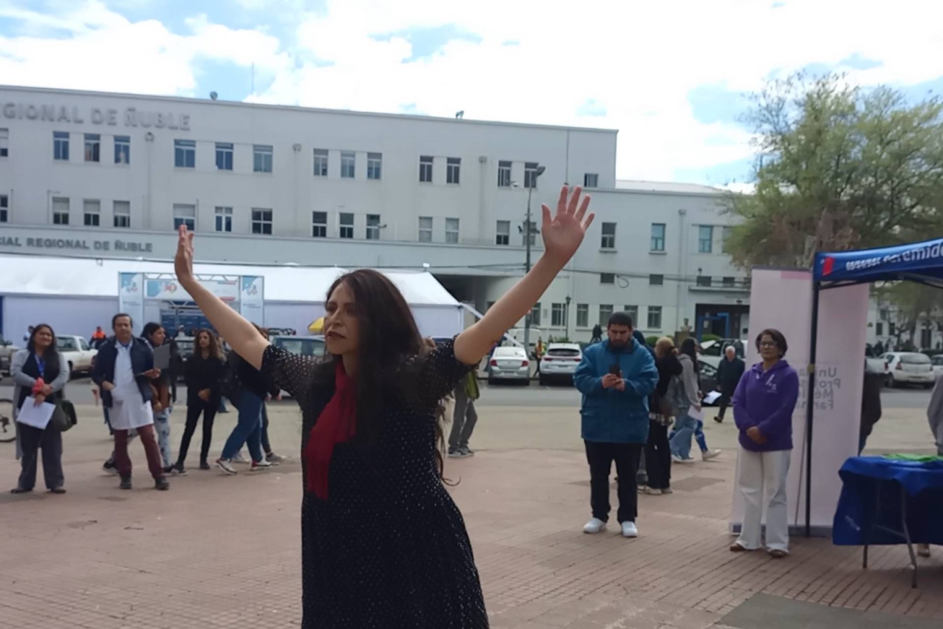 Solange Marchant representó a Extensión UBB con danza en jornada para personas mayores