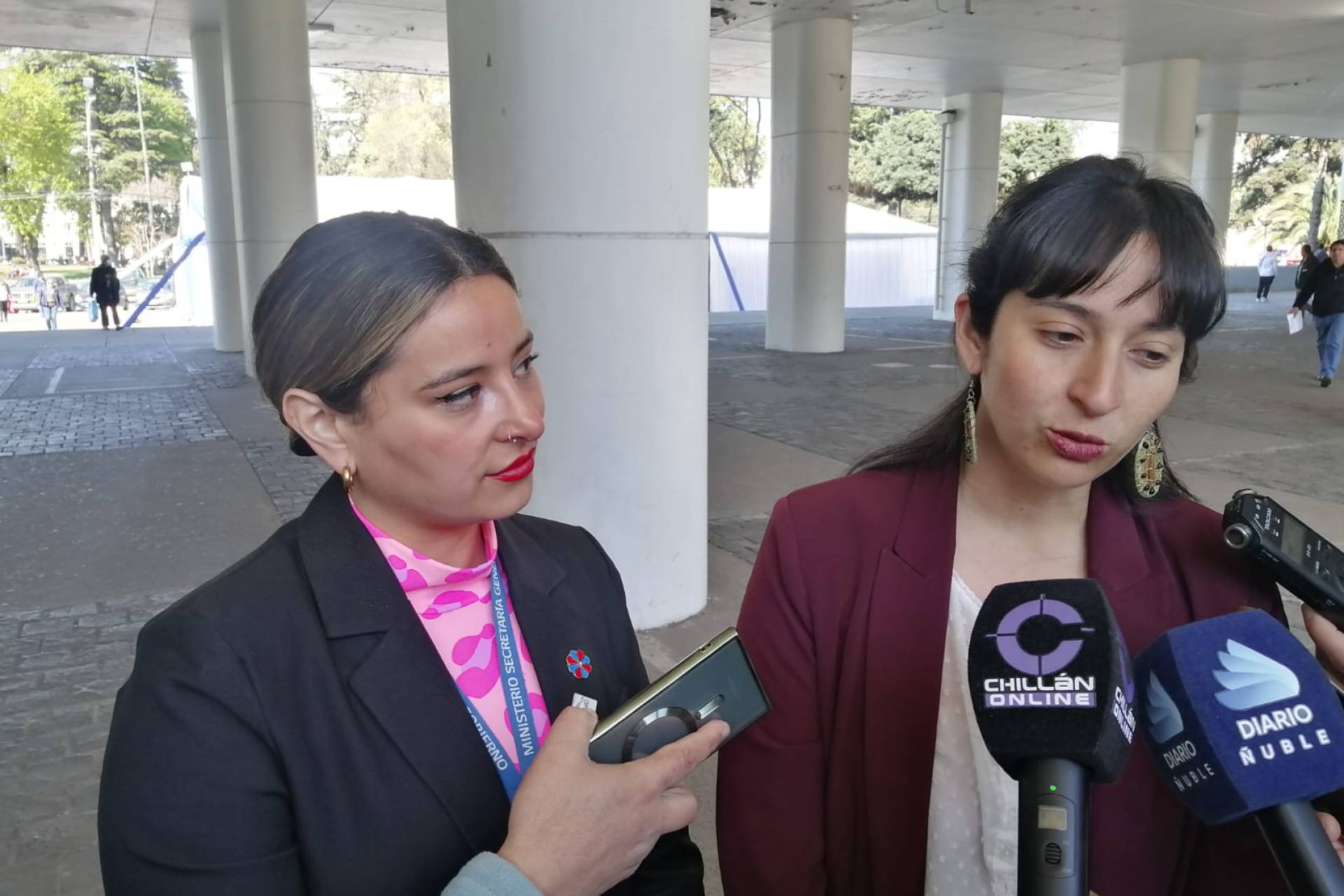 Balance positivo sobre ayudas tempranas y bonos a damnifica dos por temporales en Ñuble dieron a conocer seremi de gobierno y seremi (s) de agricultura