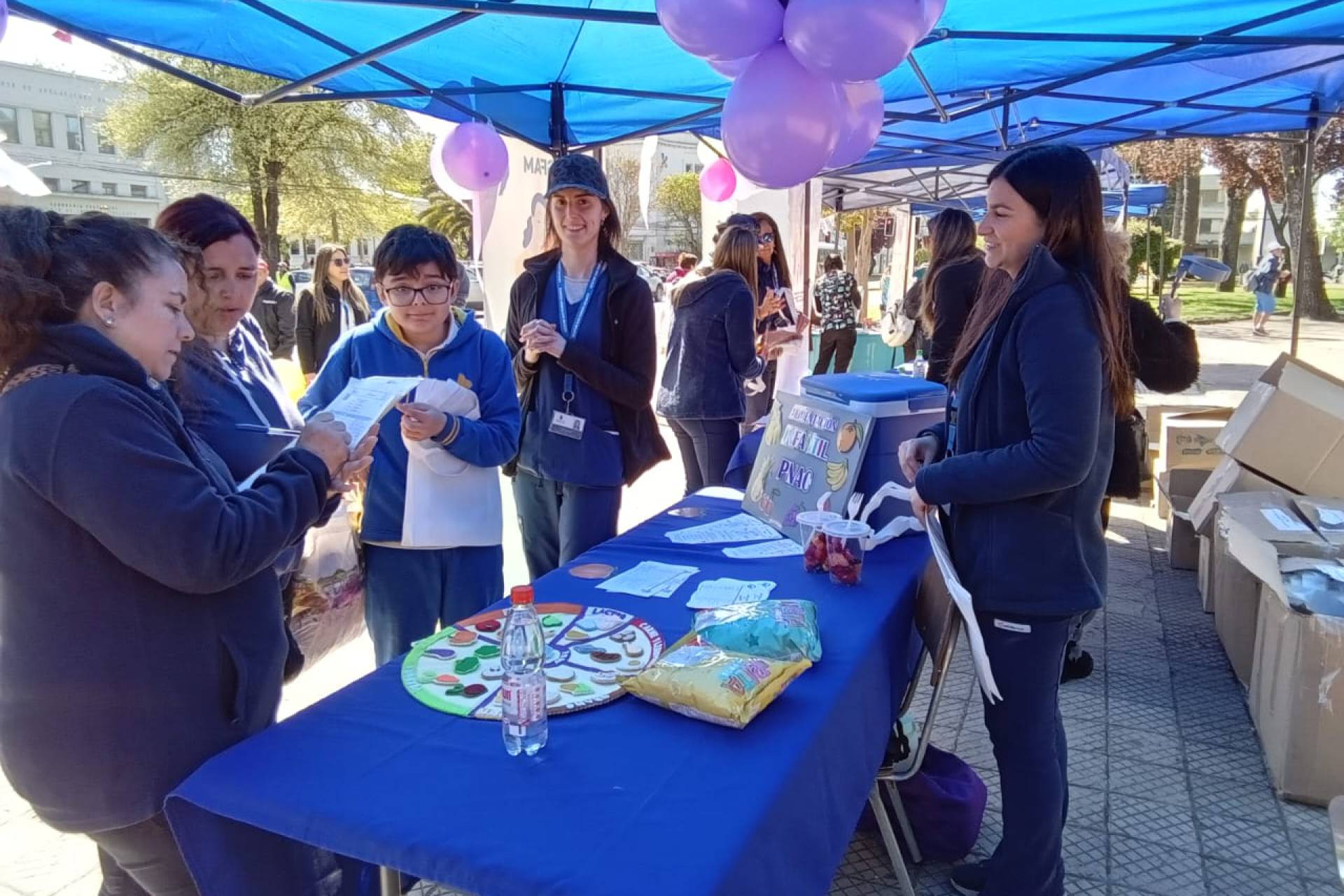 En El marco del Dia Mundial de la Alimentación DESAMU Chillán y Seremía de Salud desarrollaron feria informativa en la plaza de armas