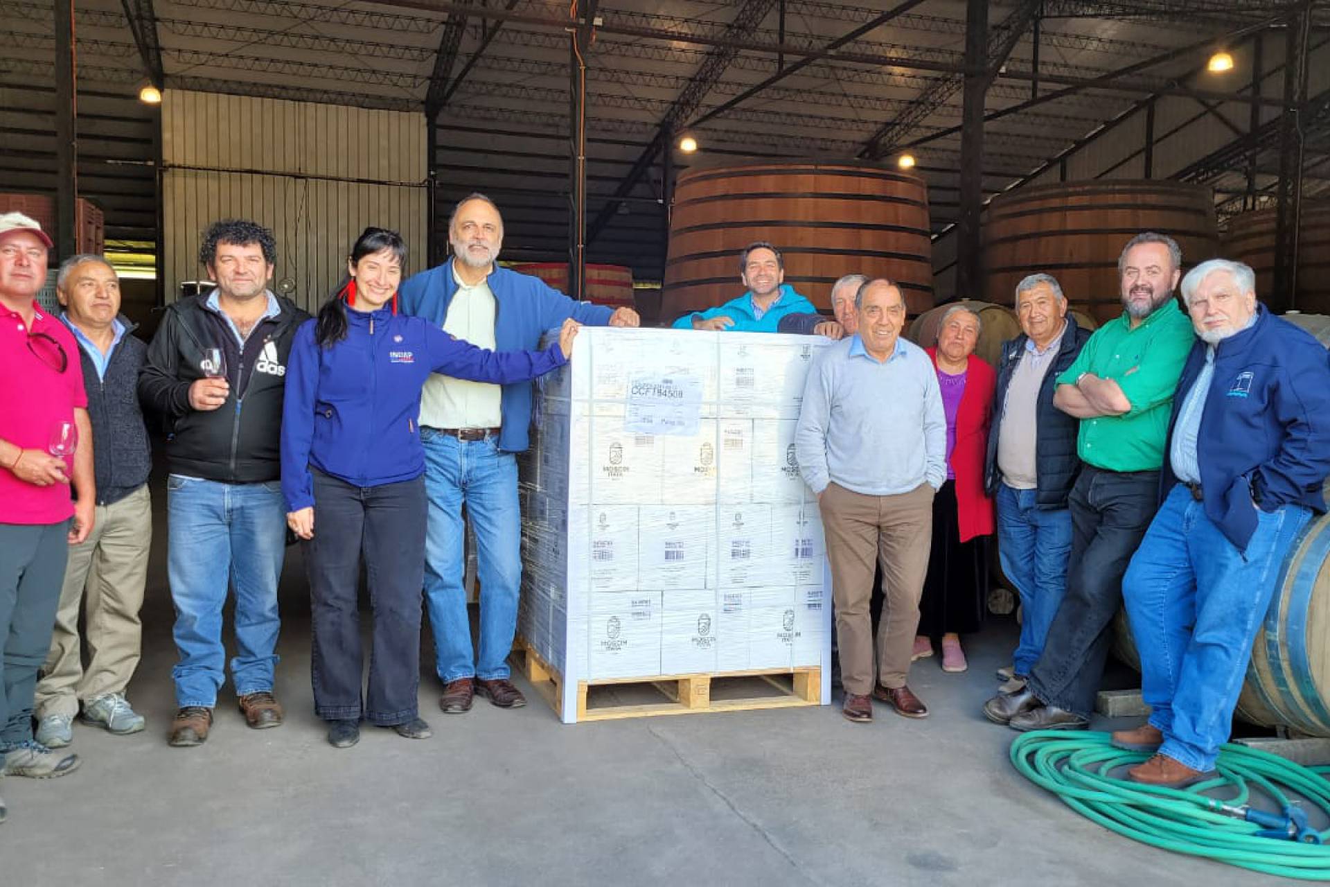 Empresa asociativa campesina logra su primer envío de vino sustentable a Suecia, con apoyo de INDAP.