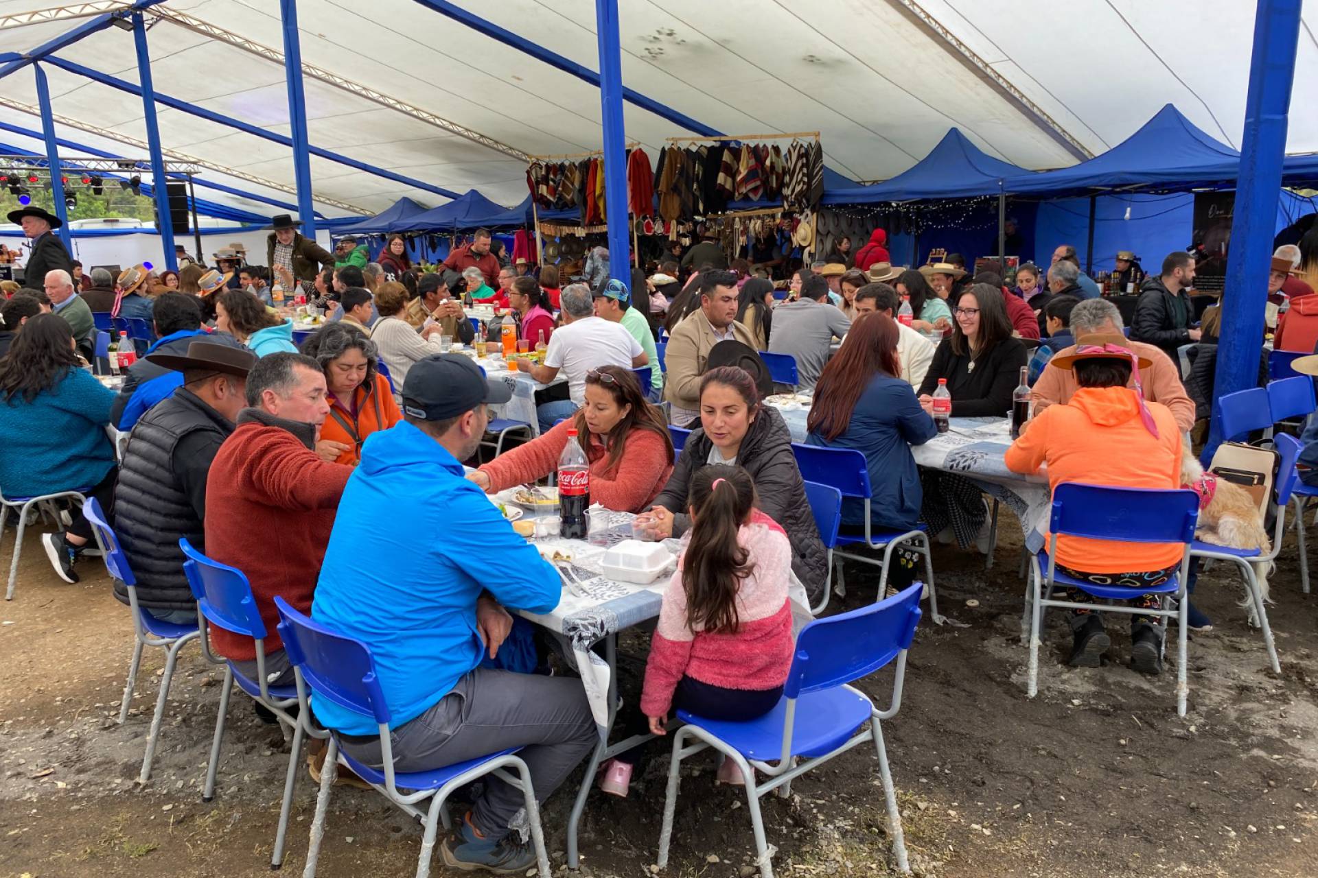 Gran fiesta del Arvejado de campo Convocó a cerca de 5.000 Personas que Abarrotaron la localidad de Chancal en Quillón