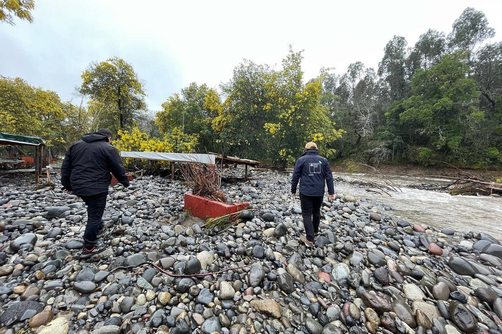 Reactivación productiva de Ñuble: Ministerios de Economía y de Agricultura han entregado más de $15 mil millones