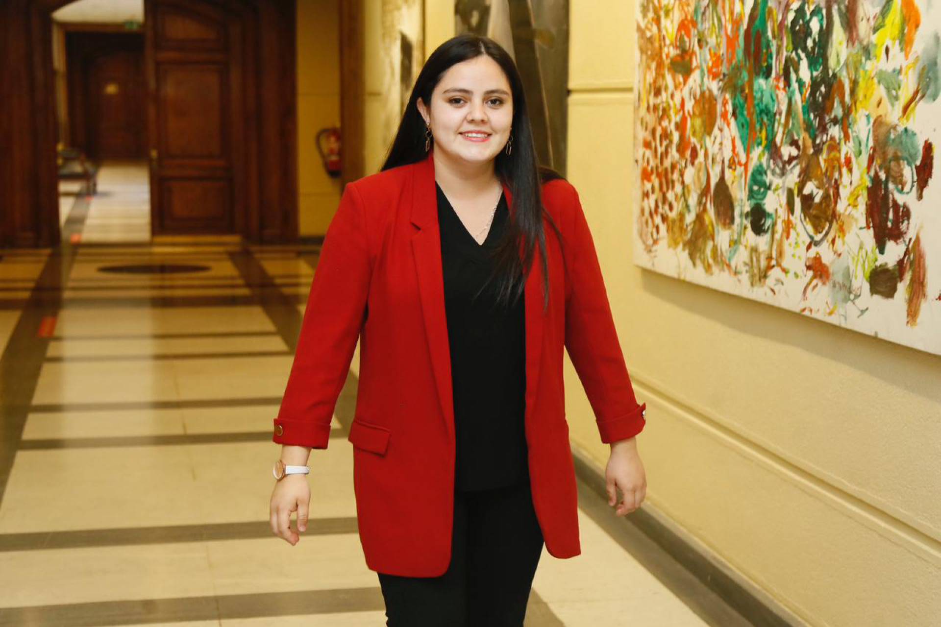 Diputada Concha y AC contra ministro Montes: “será ingresada  post plebiscito”
