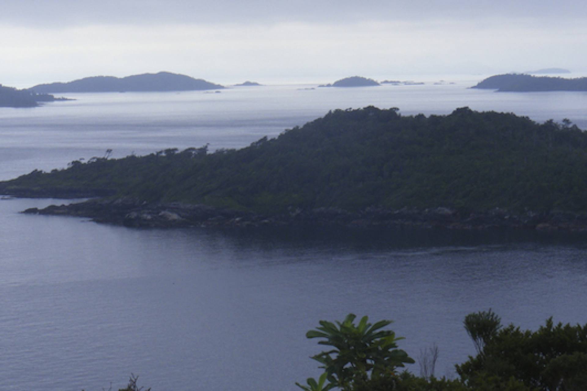 Archipiélago Las Guaitecas: Comunidades denuncian “campaña del terror” contra protección de espacio costero marino de pueblos originarios