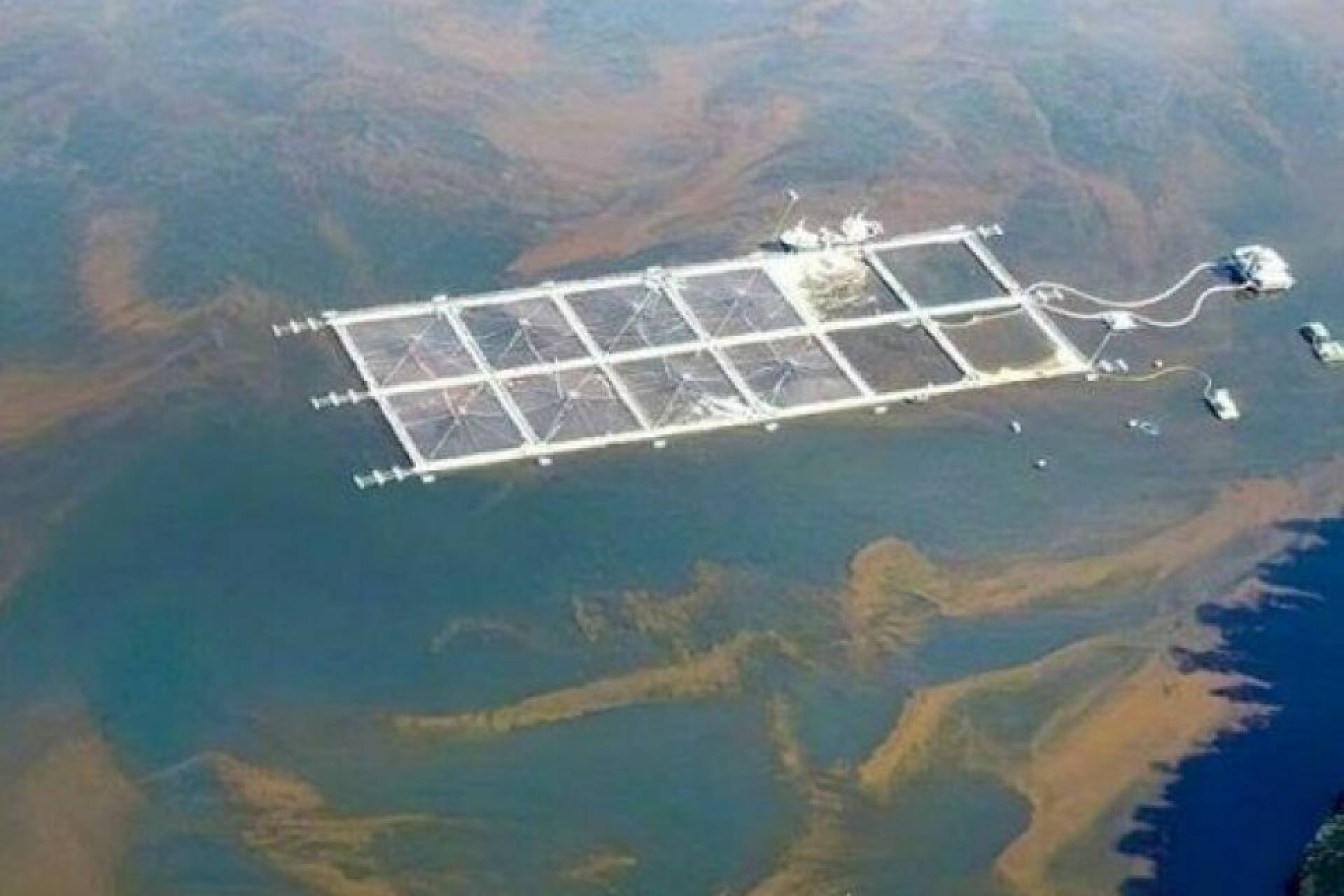 Por la defensa de las áreas marinas de la Patagonia: organizaciones comparten principales desafíos para este 2024.