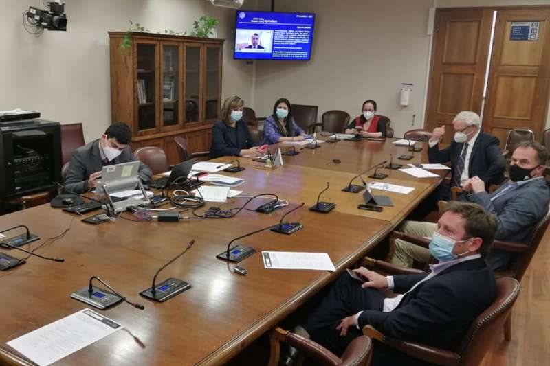 Agricultura inició estudio de proyecto que aumenta penas por adulterar trazabilidad del ganado
