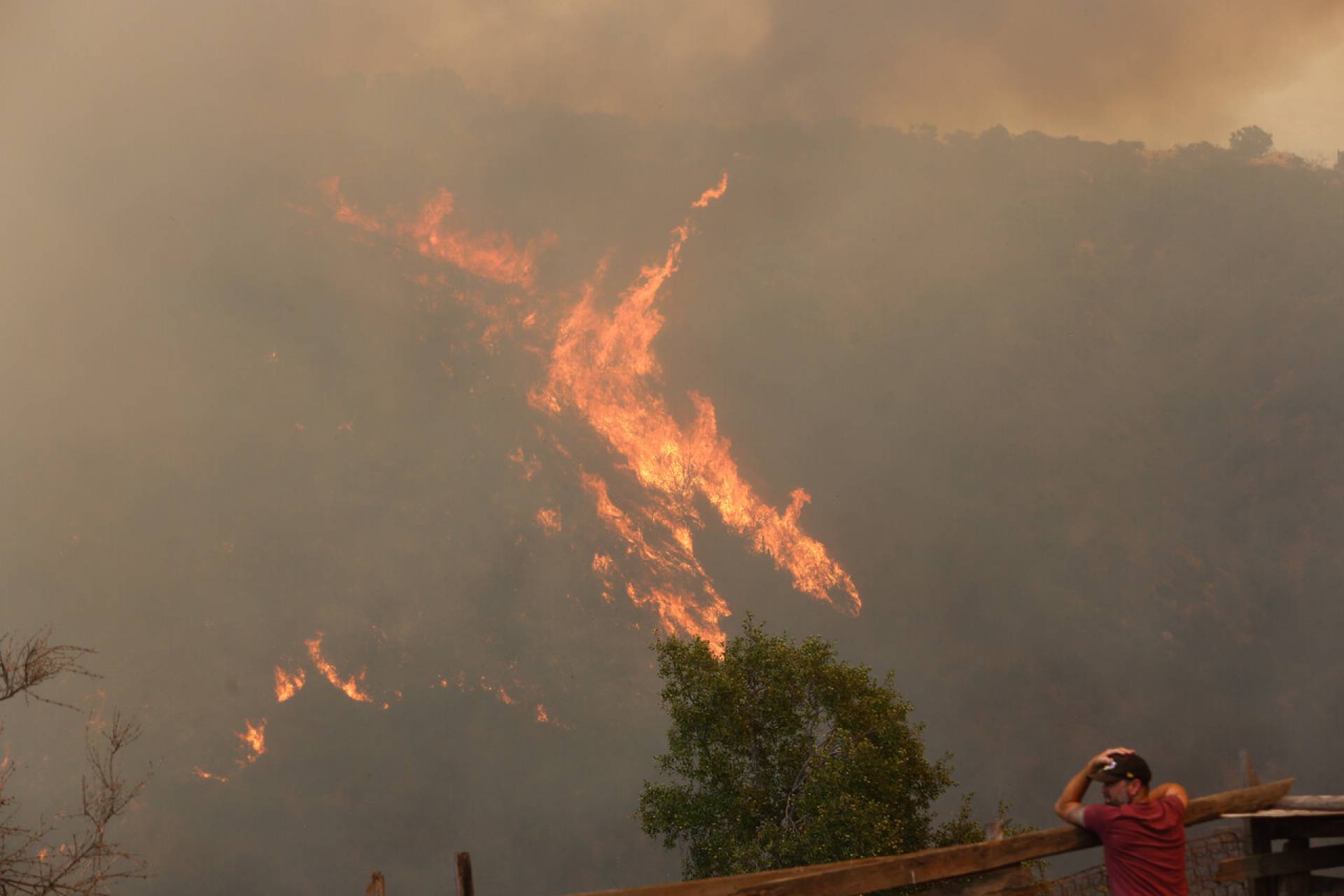 5 unidades aeronavales se desplegaron durante los incendios forestales en la región de Valparaíso