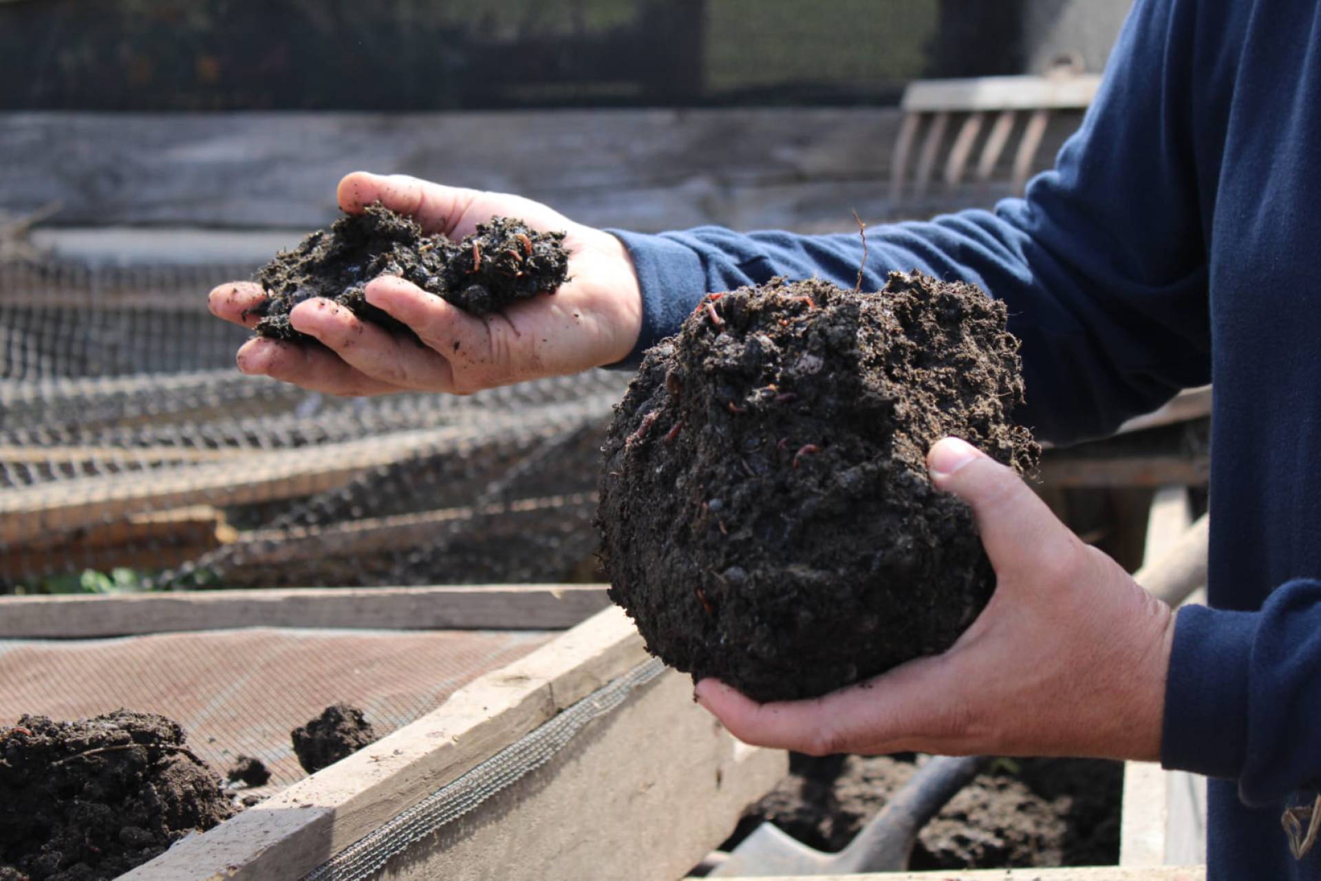 Agricultura sostenible se transforma en prioridad para Pproductores de la Pprovincia de Arauco adoptan prácticas de  agricultura sostenible