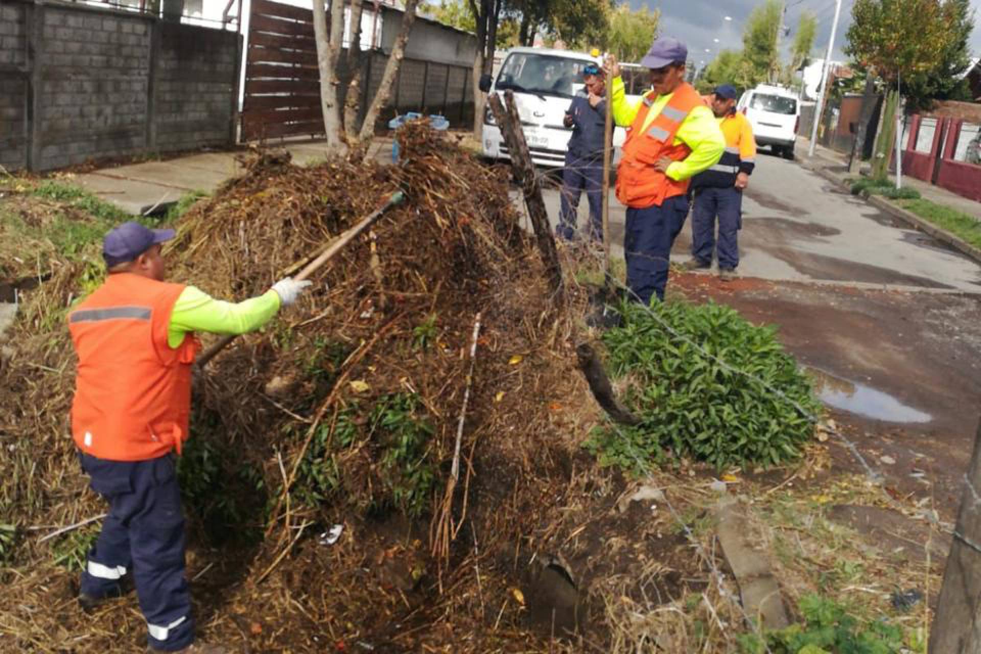 Chillán Viejo se prepara para evento meteorológico que llega esta madrugada a la región