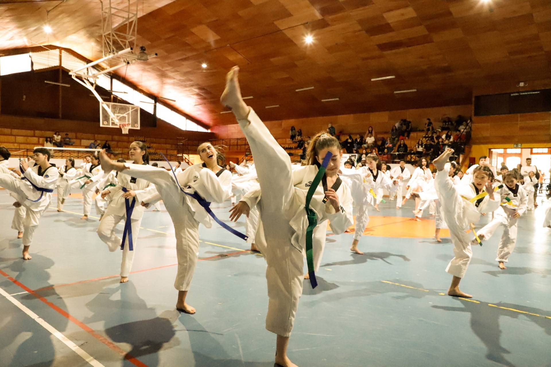 HISTÓRICO: MUNICIPALIDAD DE CHILLAN VIEJO INSTAURA BECA DEPORTIVA