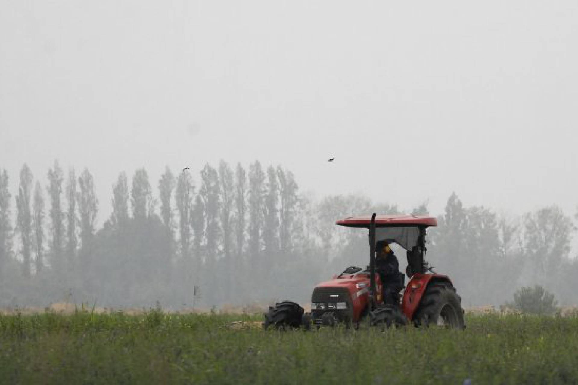 Hombre pierde la vida tras caer de tractor y ser aplastado en Lautaro