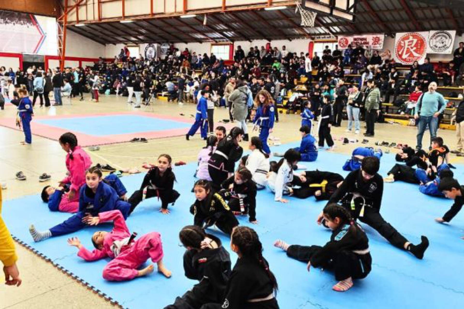 Con la participación de ciento cincuenta competidores, se realizó el primer torneo de jiu-jitsu en Chillán