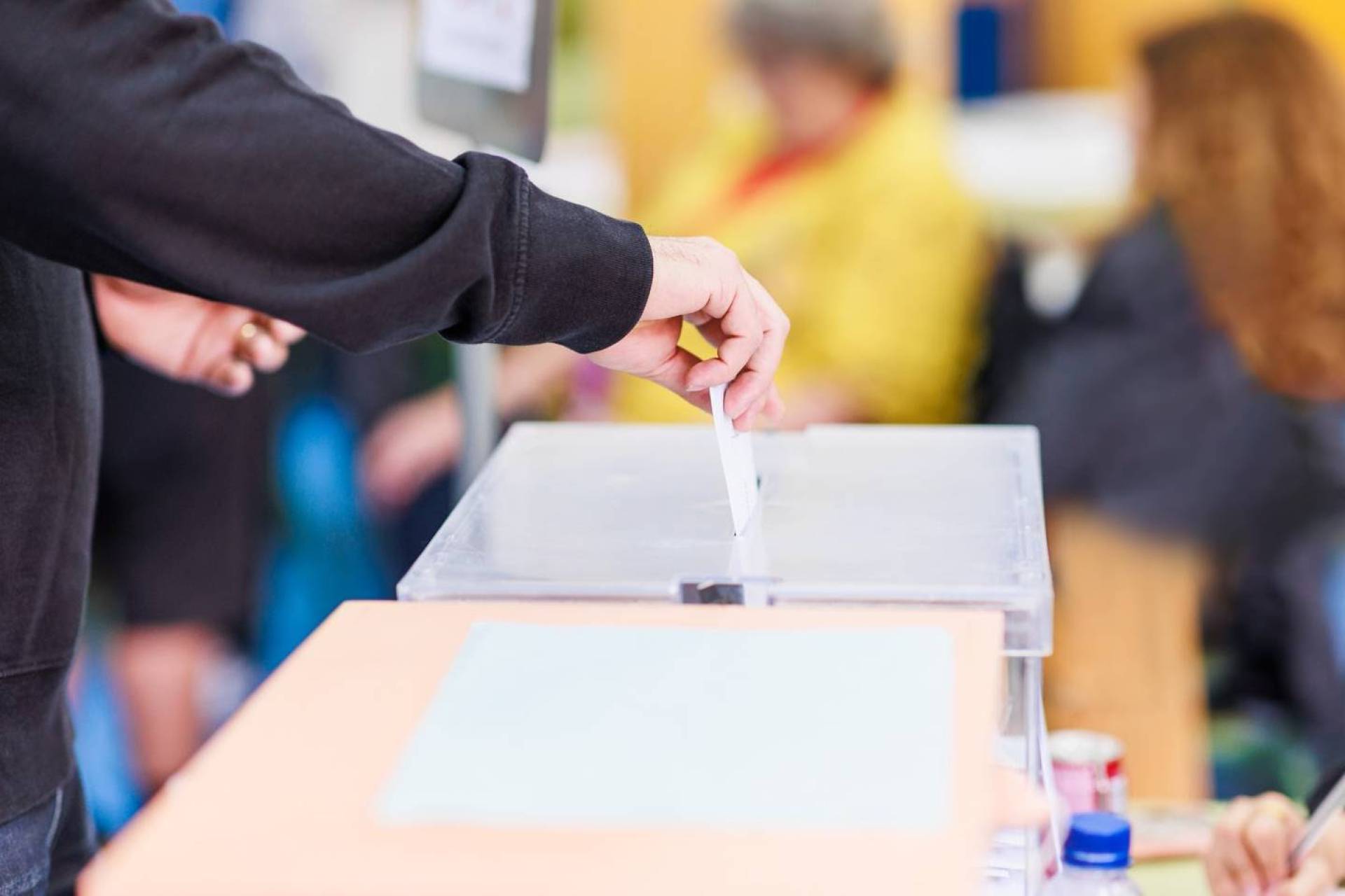Estiman que candidatos a gobernadores no electos quedarán bien perfilados para próximas elecciones