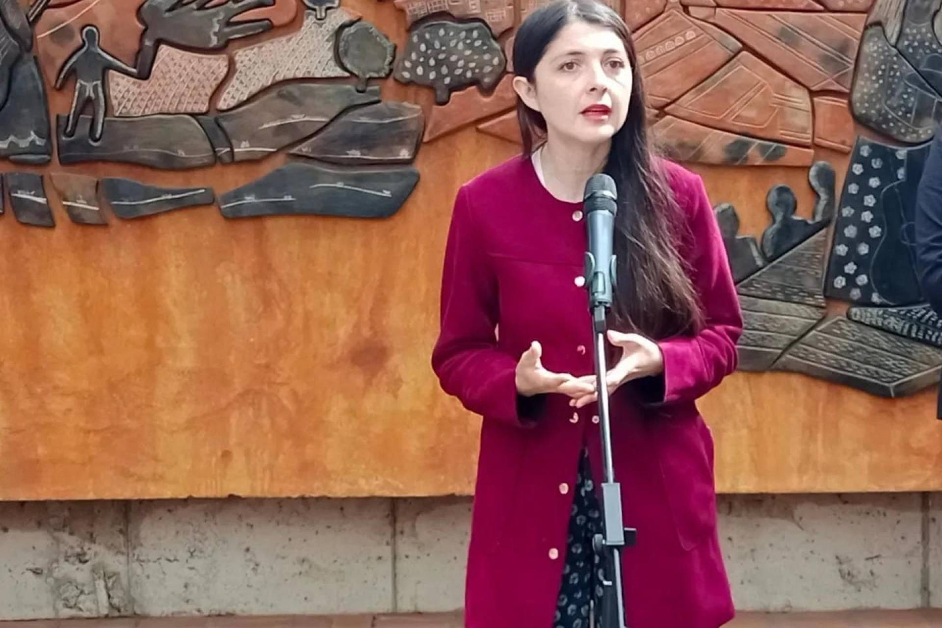 Srnameg Ñuble Reprecenta a Familias de Victima de Femicidio en San Ignacio