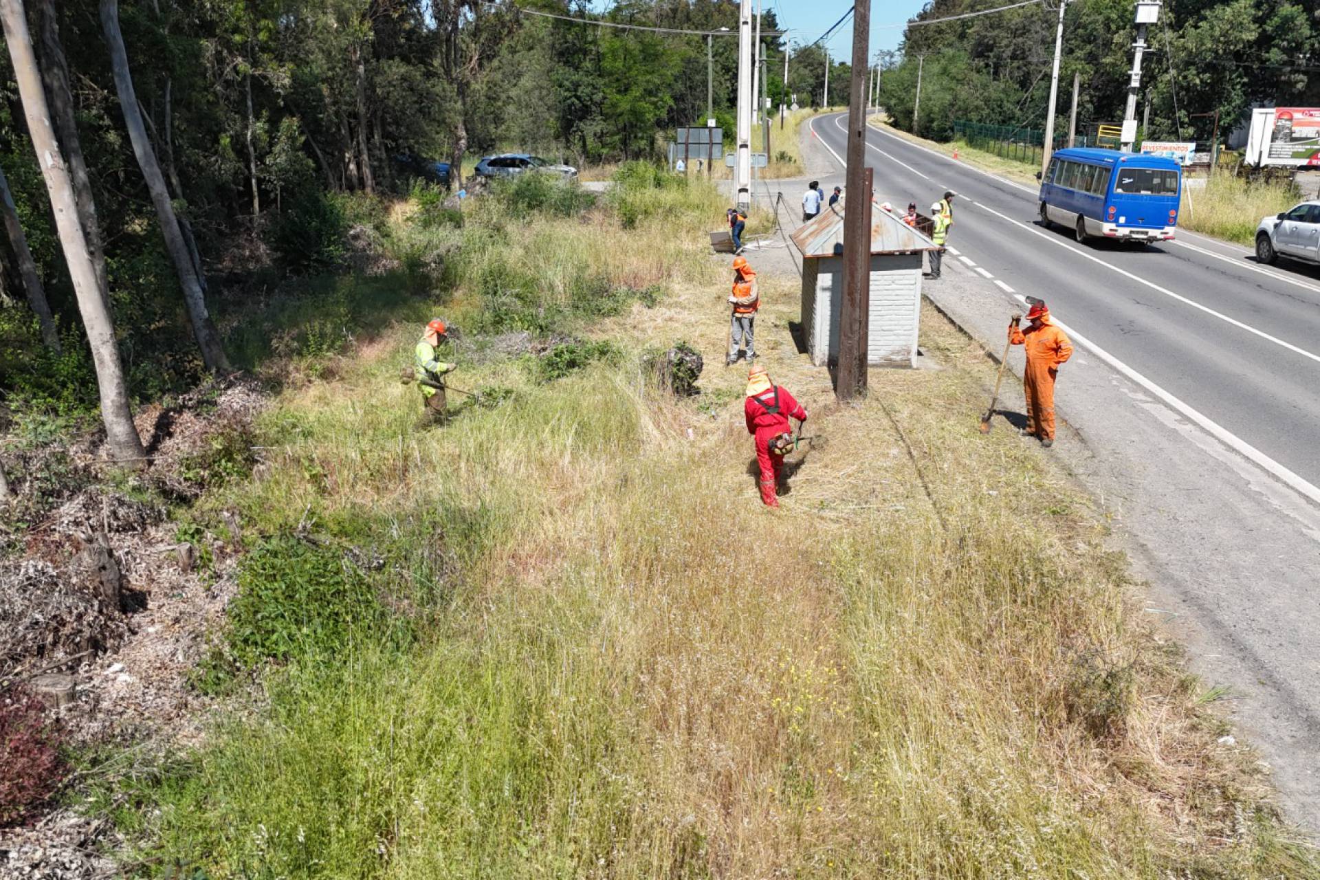 MOP limpia 217 kilómetros de fajas viales en 11 rutas claves de Ñuble para prevenir incendios forestales