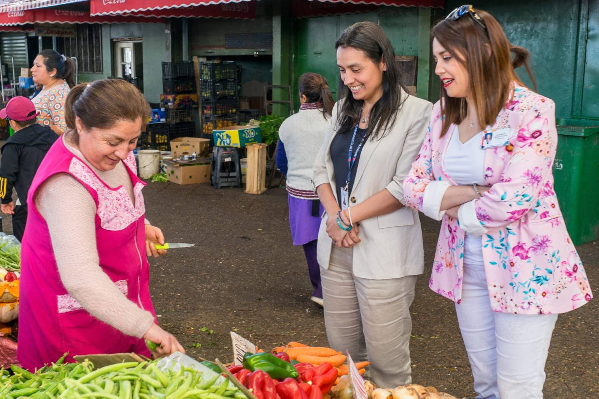 Autoridades de Salud lanzan campaña para un verano seguro en Ñuble Promueven el autocuidado, la prevención de enfermedades y la preparación de la red asistencial para la temporada 2024/2025.