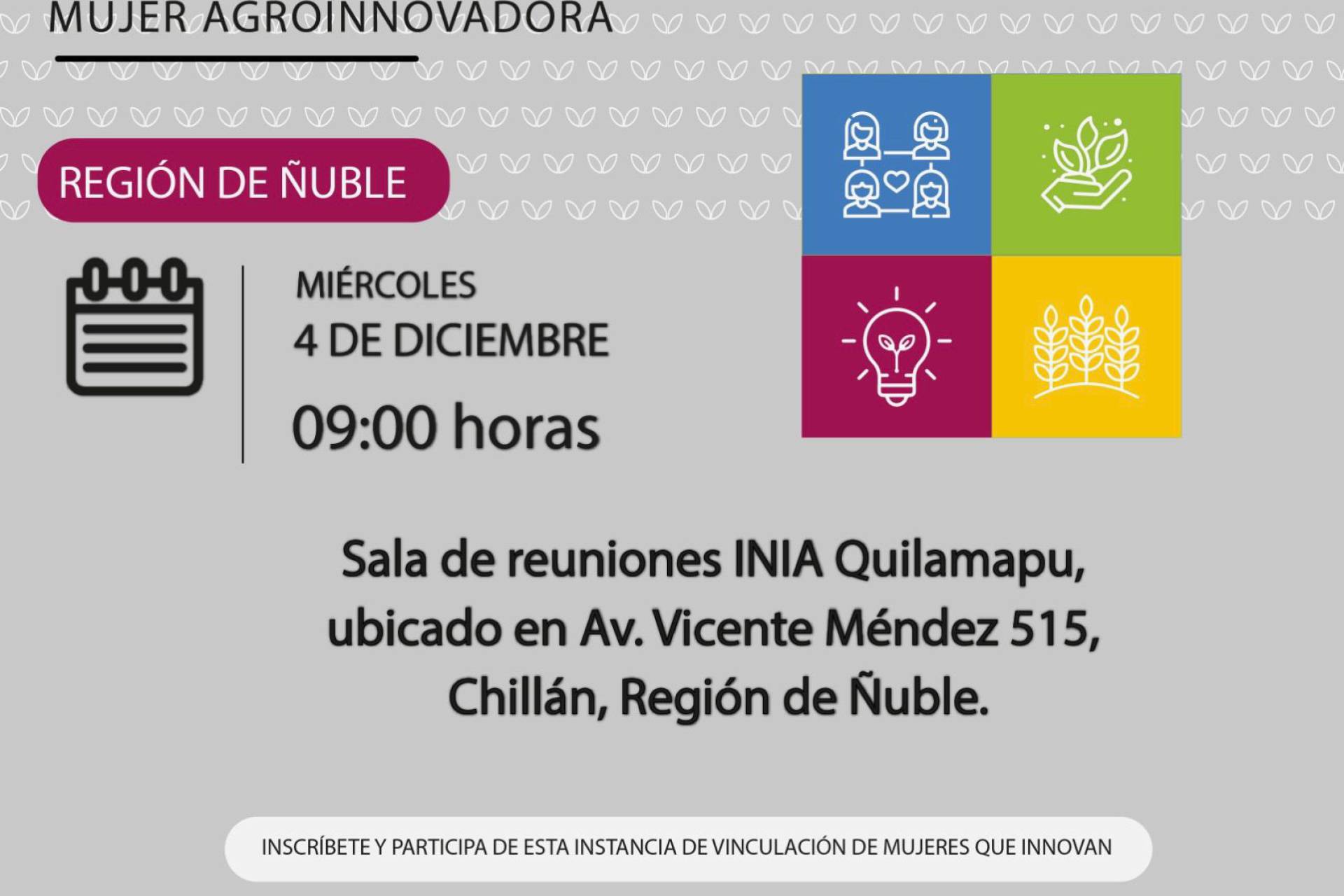 El Ministerio de Agricultura impulsa el liderazgo femenino en el agro con el Encuentro RED MAI en Ñuble