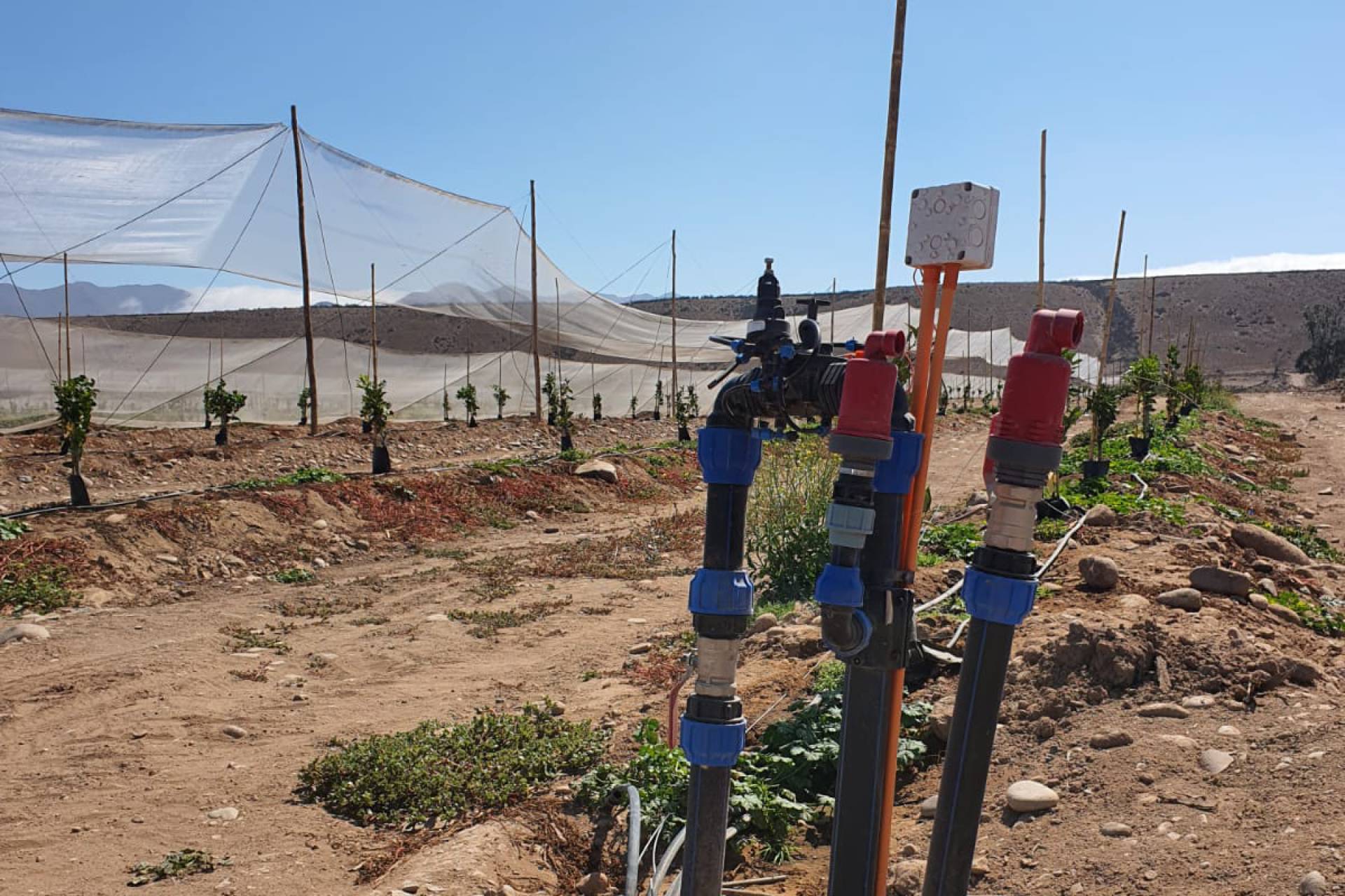 La Telemetría pavimenta el Camino a la Inteligencia Artificial en la Agricultura