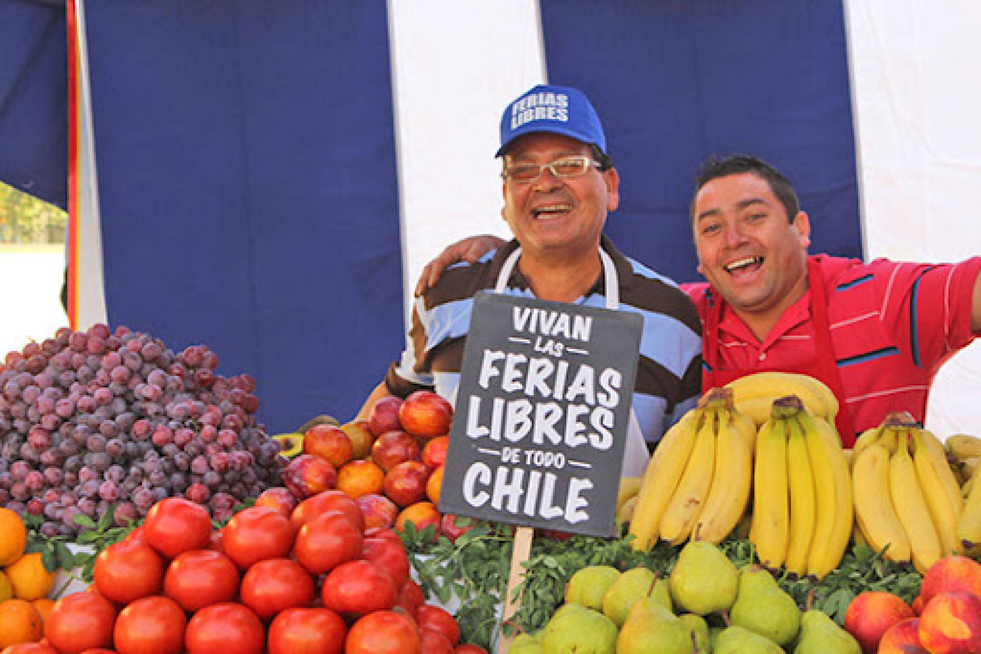 Seremi de Economía de Ñuble y Sercotec dan a conocer la aplicación del Catastro Nacional de Ferias Libres
