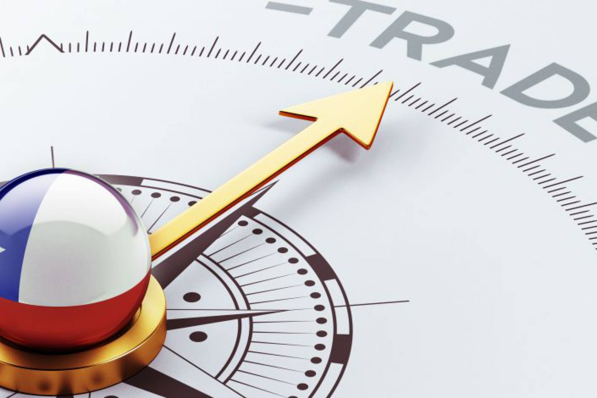 Las exportaciones forestales y agropecuarias crecieron en 11%, comparado con igual período del año anterior