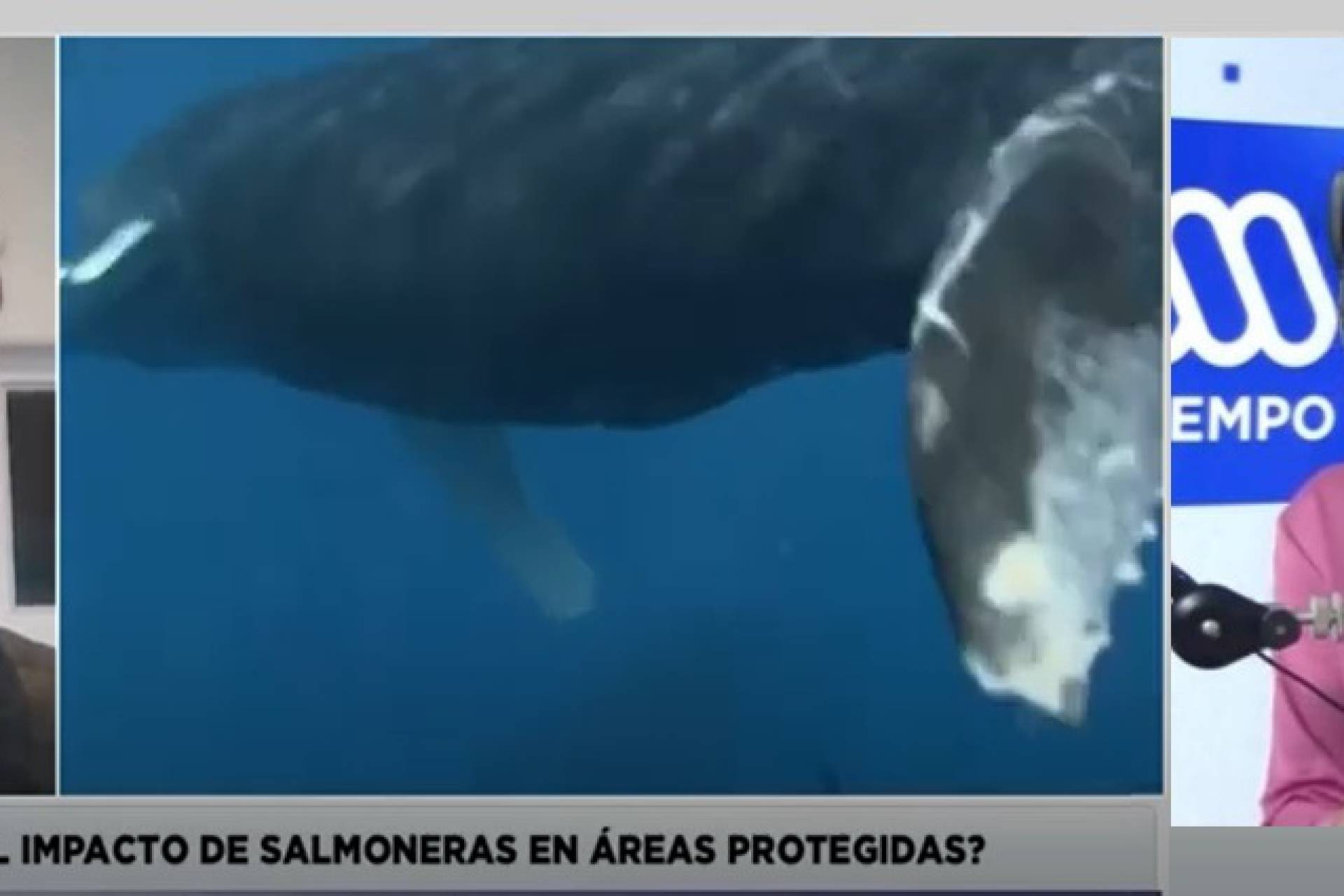 “El riesgo de convertir áreas protegidas en zonas de sacrificio”: Defendamos Chiloé alerta sobre daños ambientales