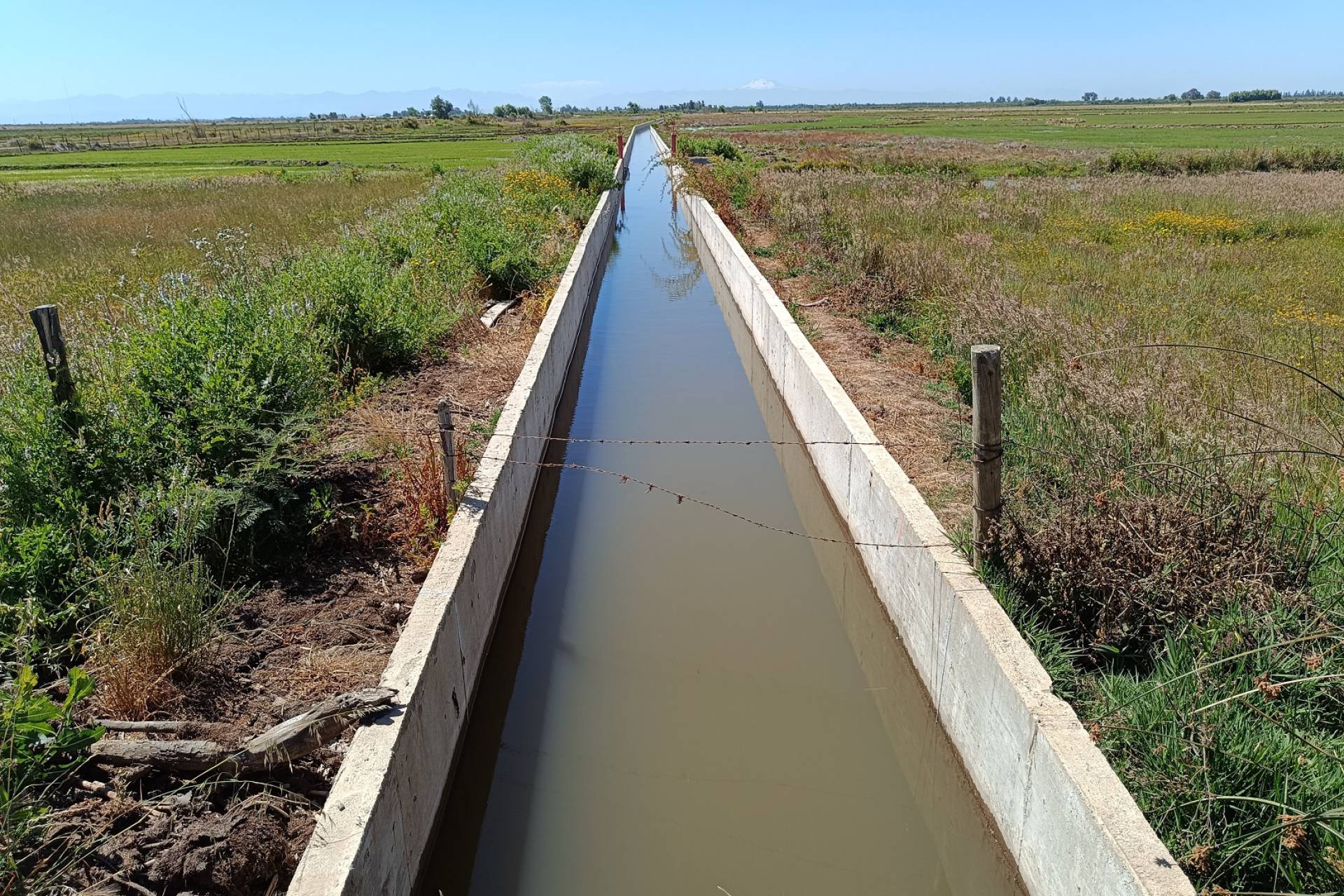 CNR y regantes de Ñiquén inauguran revestimiento del Canal Bustos: avance clave para la agricultura del norte de Ñuble