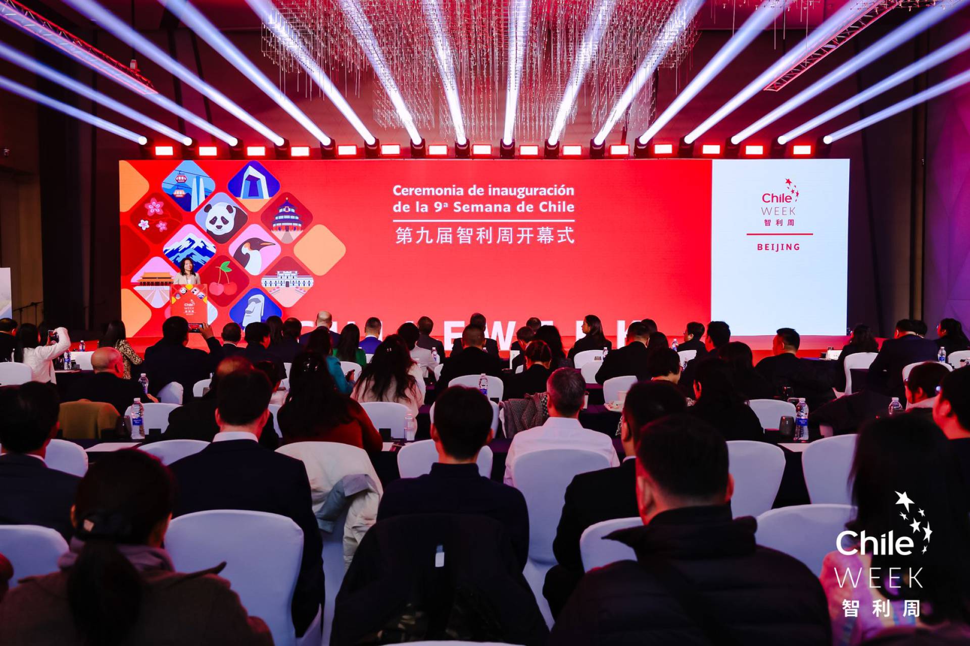 Chile Week China 2024 concluye con más de 500 reuniones entre empresas chilenas e importadores chinos