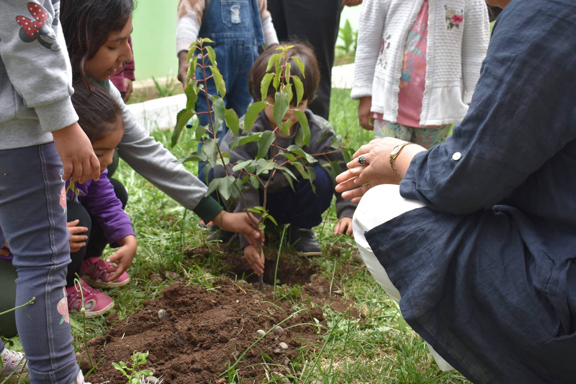 Ministerio de Desarrollo Social y Familia junto a Fundación CRATE inauguran proyectos "Implementando Huertas Agroecológicas"
