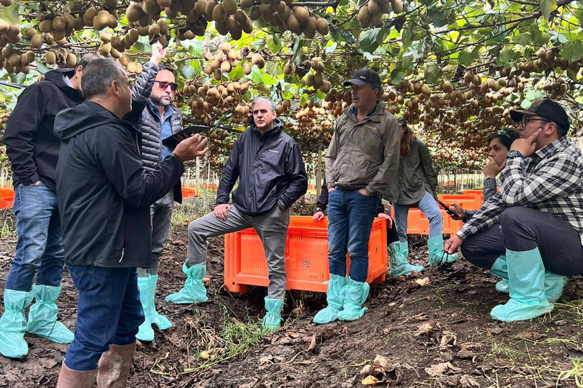 Últimos días para postular a fondos FIA y GORE Maule: Innovación en el agro al alcance