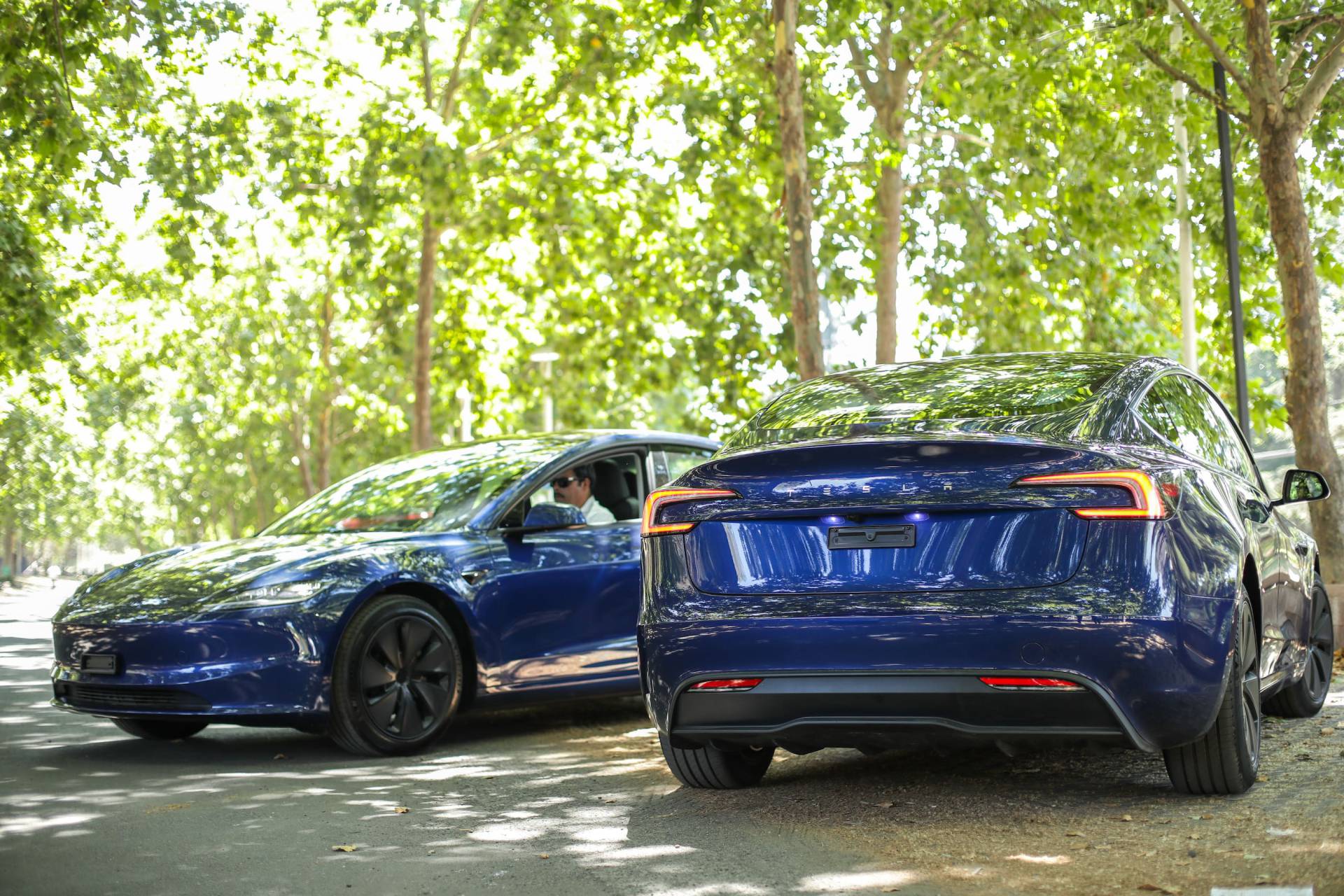 Transvip invertirá $600 millones en vehículos Tesla