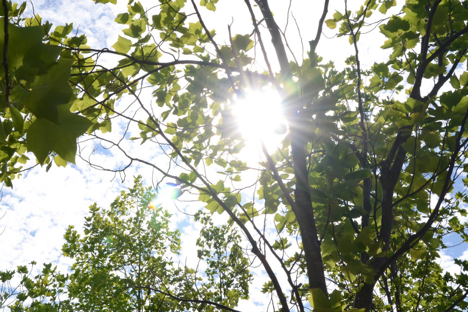 Ola de calor: Se espera primer peak de temperaturas extremas de 2025